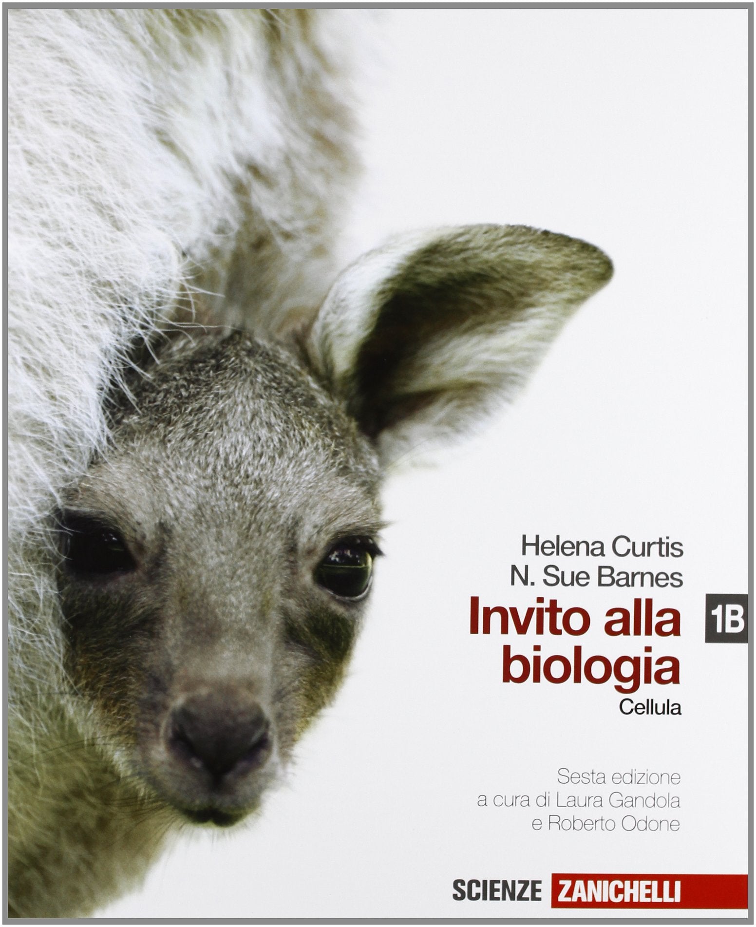 Invito alla biologia. Vol. 1B: La cellula. Per le Scuole superiori. Con espansione online Professional & Reference Books