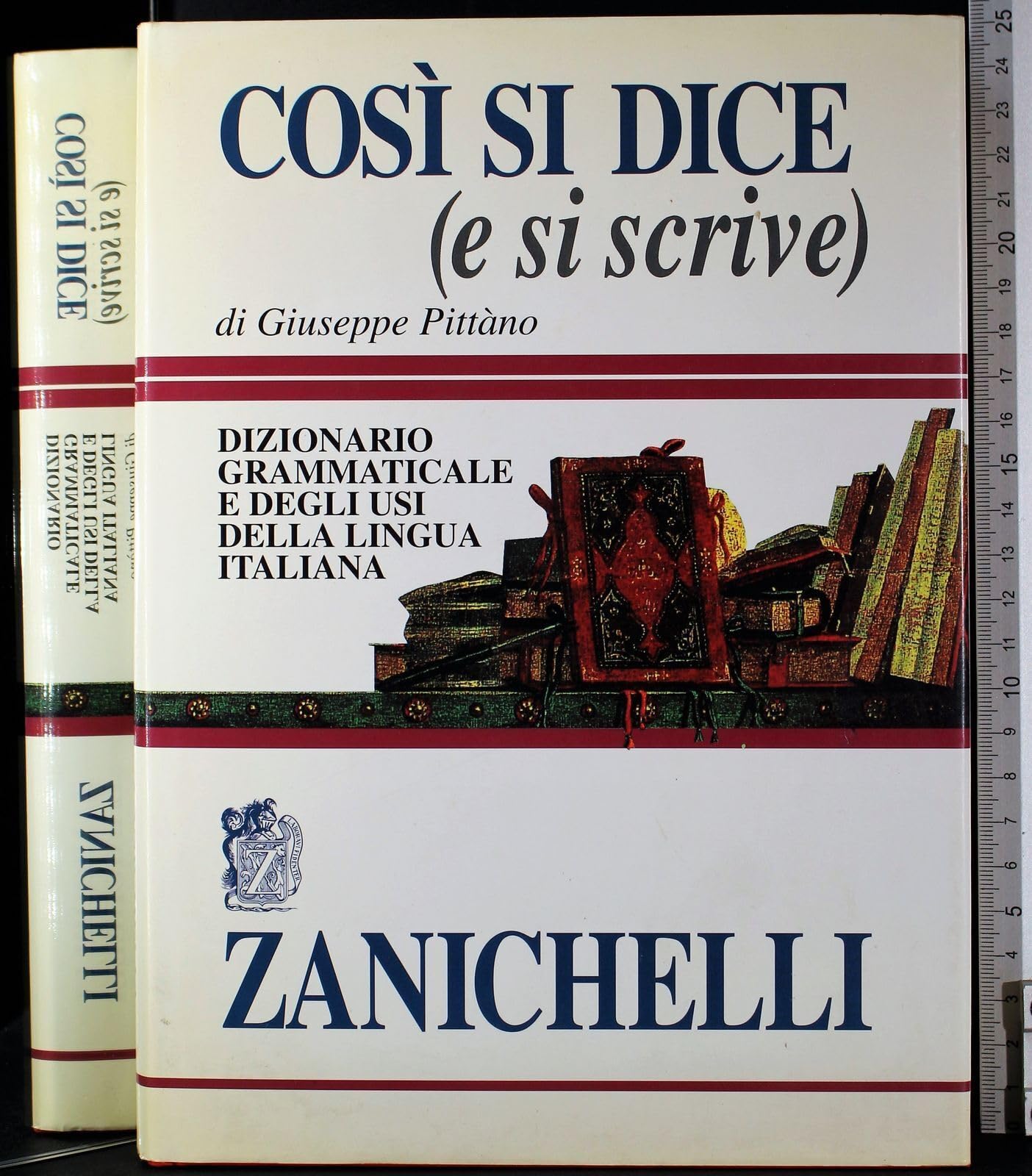 Così si dice (e si scrive). Dizionario grammaticale e degli usi della lingua italiana (Opere di consultazione. Lingua italiana) Reference Books