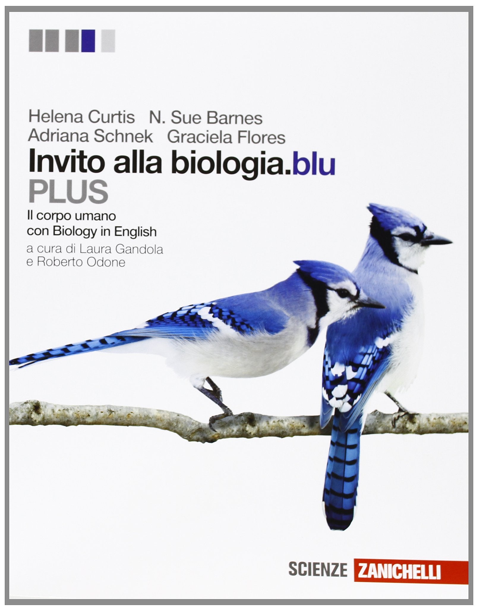 Invito alla biologia.blu. Plus. Corpo umano. Per le Scuole superiori. Con espansione online Professional & Reference Books