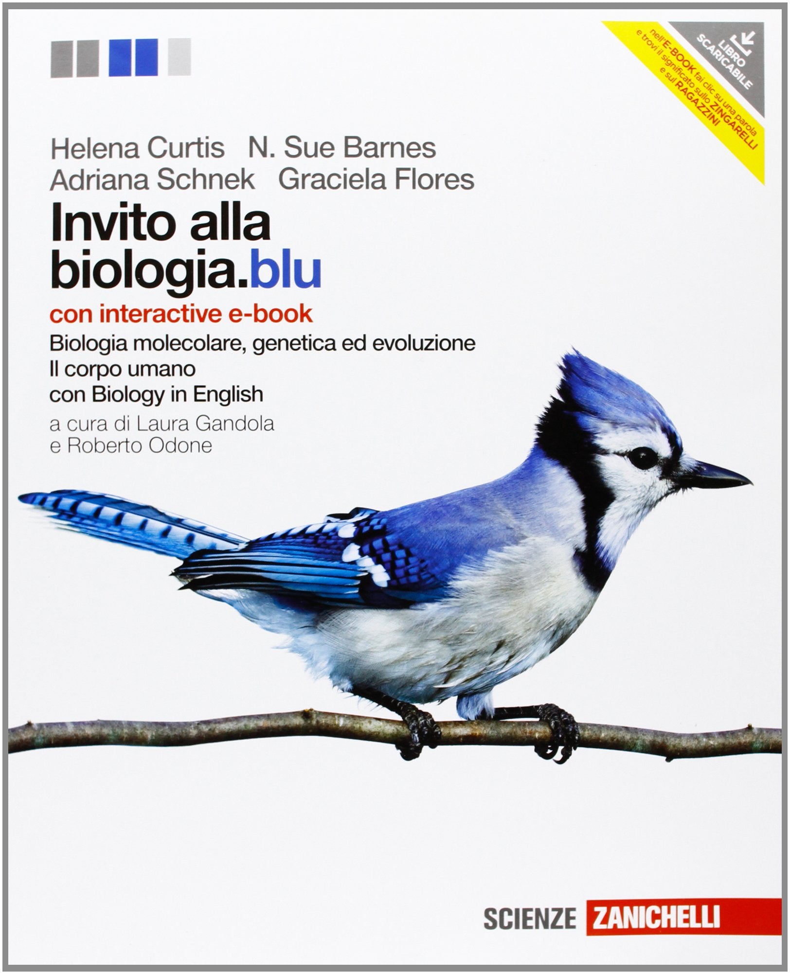 Invito alla biologia.blu. Biologia molecolare, genetica, evoluzione-Corpo umano. Con interactive e-book. Per le Scuole superiori. Con espansione online Professional & Reference Books