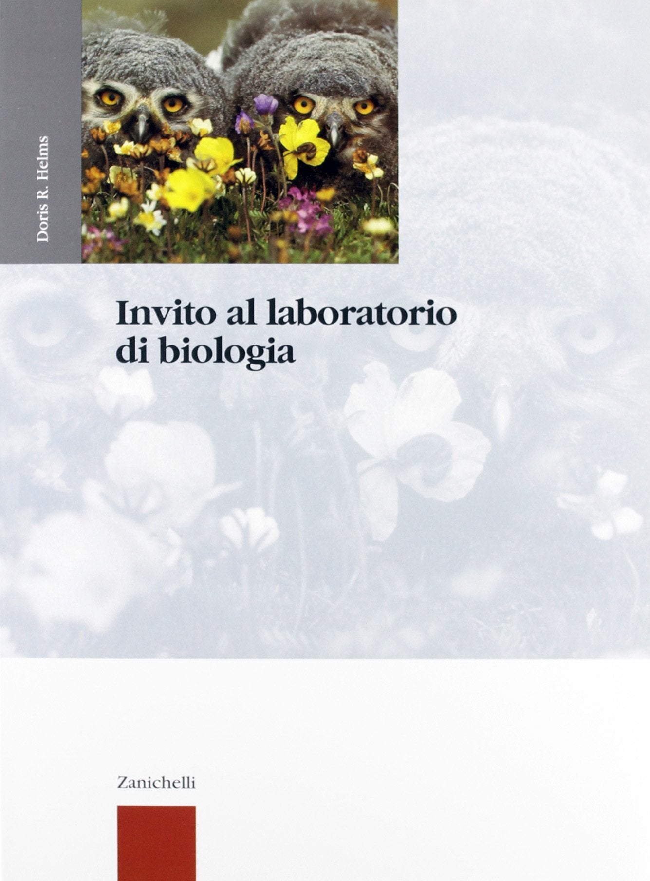 Invito al laboratorio di biologia. Per le Scuole superiori Professional & Reference Books