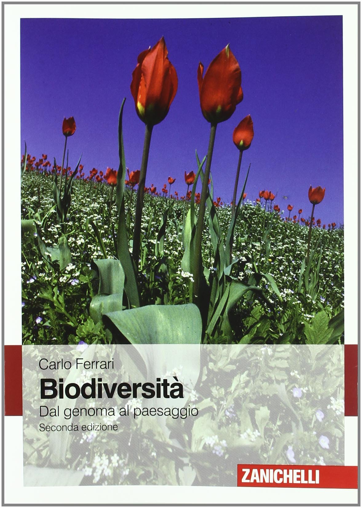 Biodiversità. Dal genoma al paesaggio Mathematics