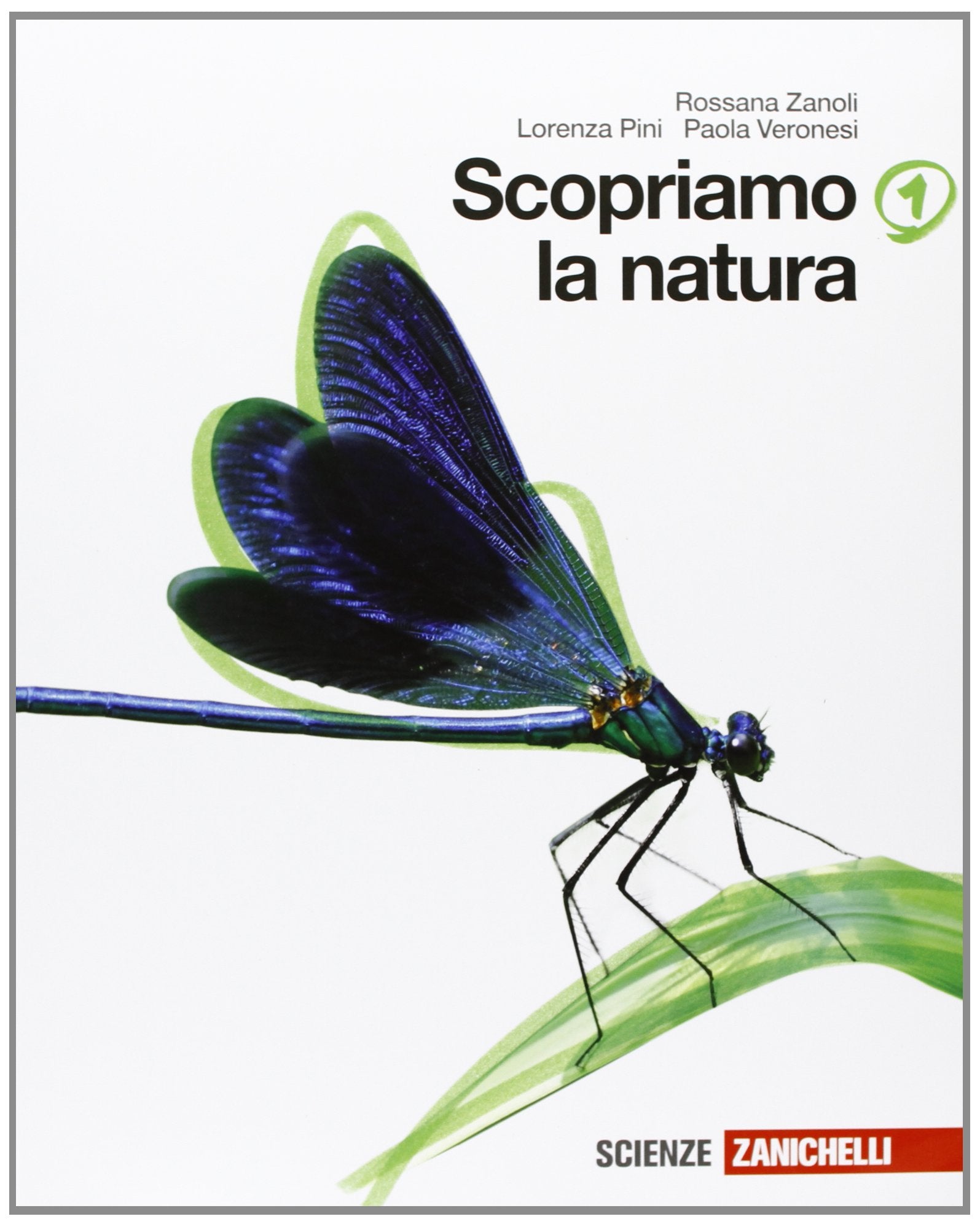 Scopriamo la natura. Per la Scuola media. Con espansione online (Vol. 1) Professional & Reference Books