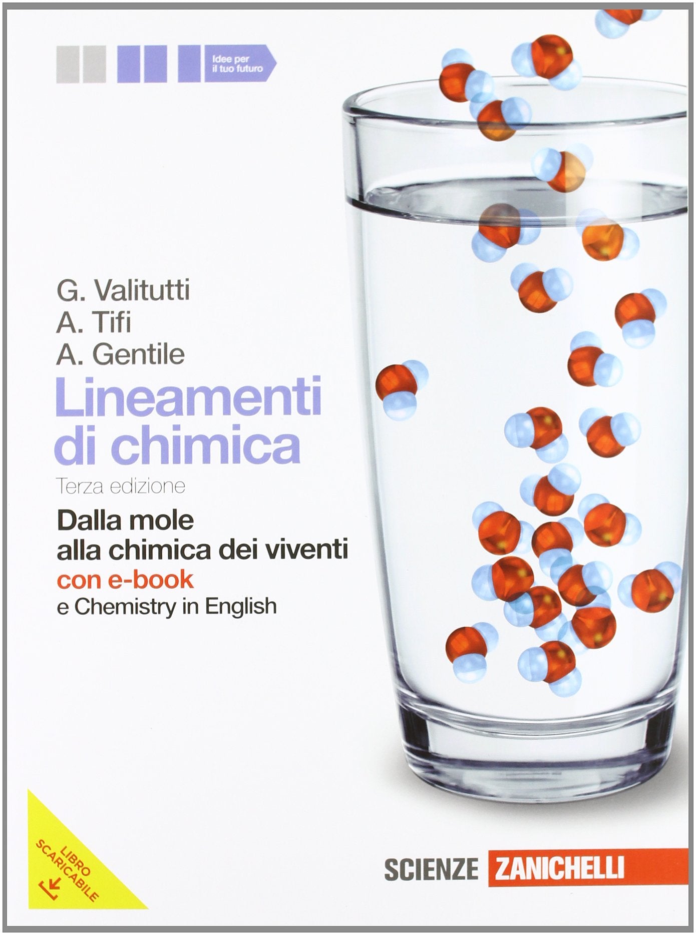 Lineamenti di chimica. Dalla mole alla chimica dei viventi. Con Chemistry in english. Per le Scuole superiori. Con DVD-ROM. Con espansione online Professional & Reference Books