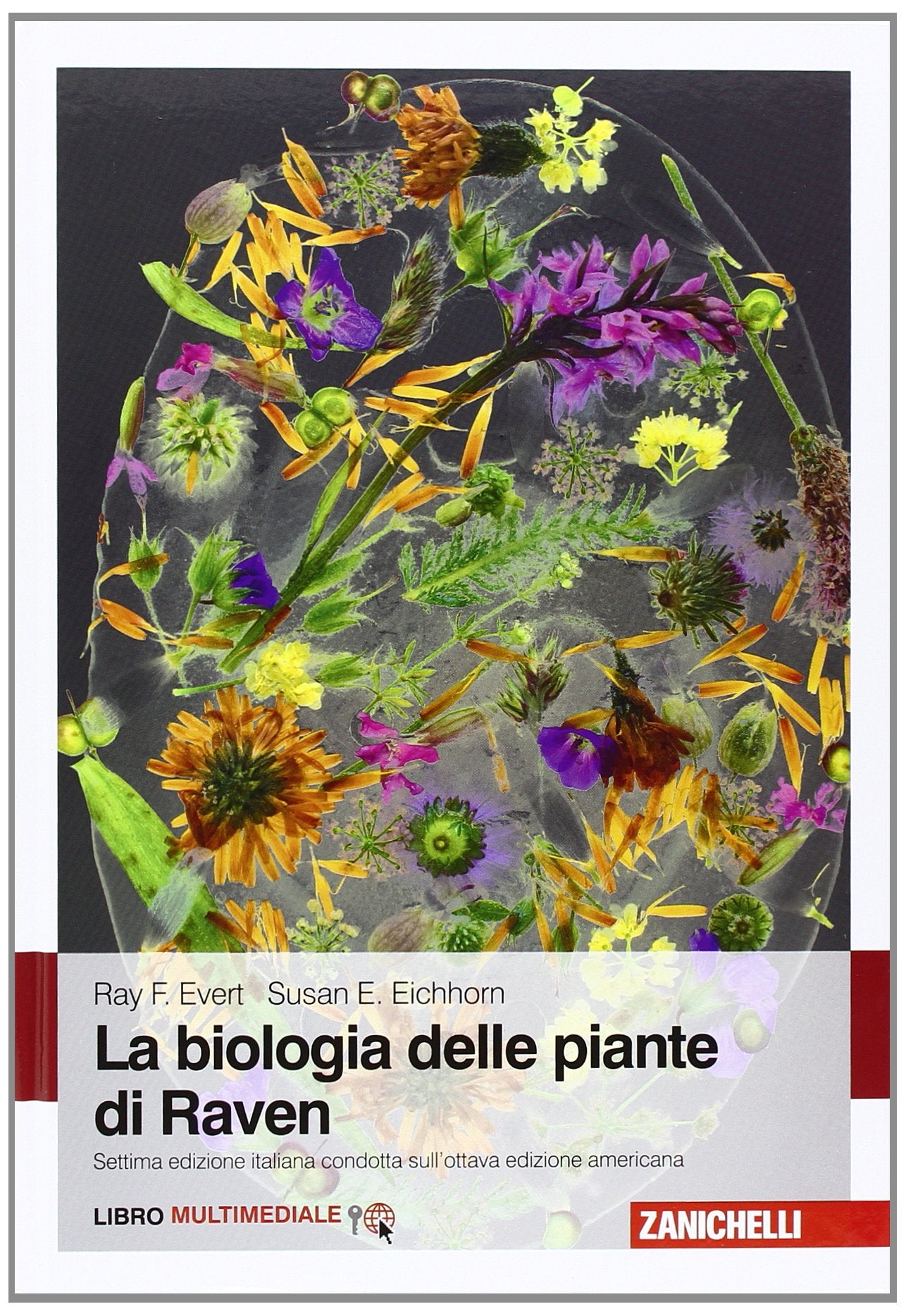 Biologia delle piante di Raven Natural Sciences
