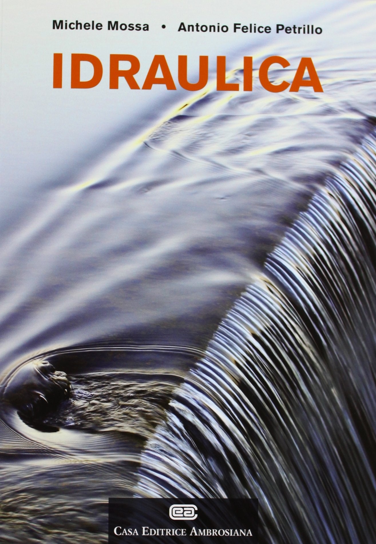 Idraulica. Con Contenuto digitale (fornito elettronicamente) book