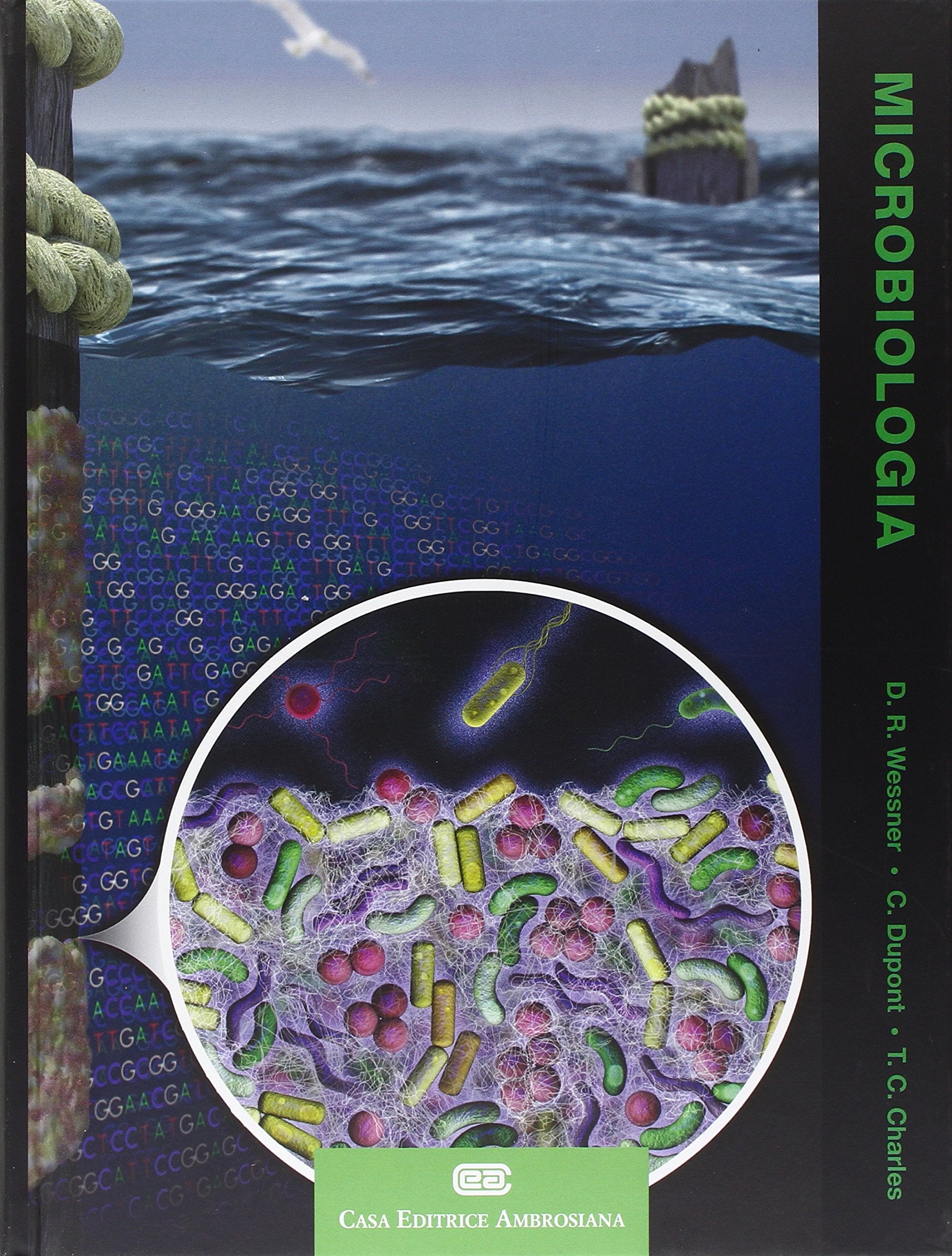 Microbiologia. Con Contenuto digitale (fornito elettronicamente) book