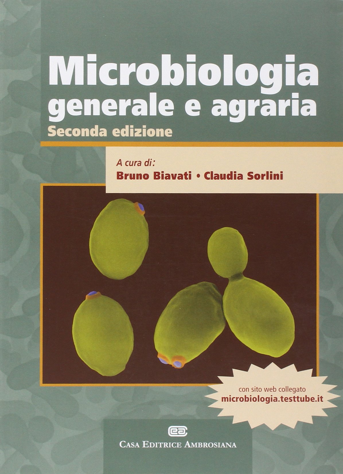 Microbiologia generale e agraria. Con Contenuto digitale (fornito elettronicamente) book