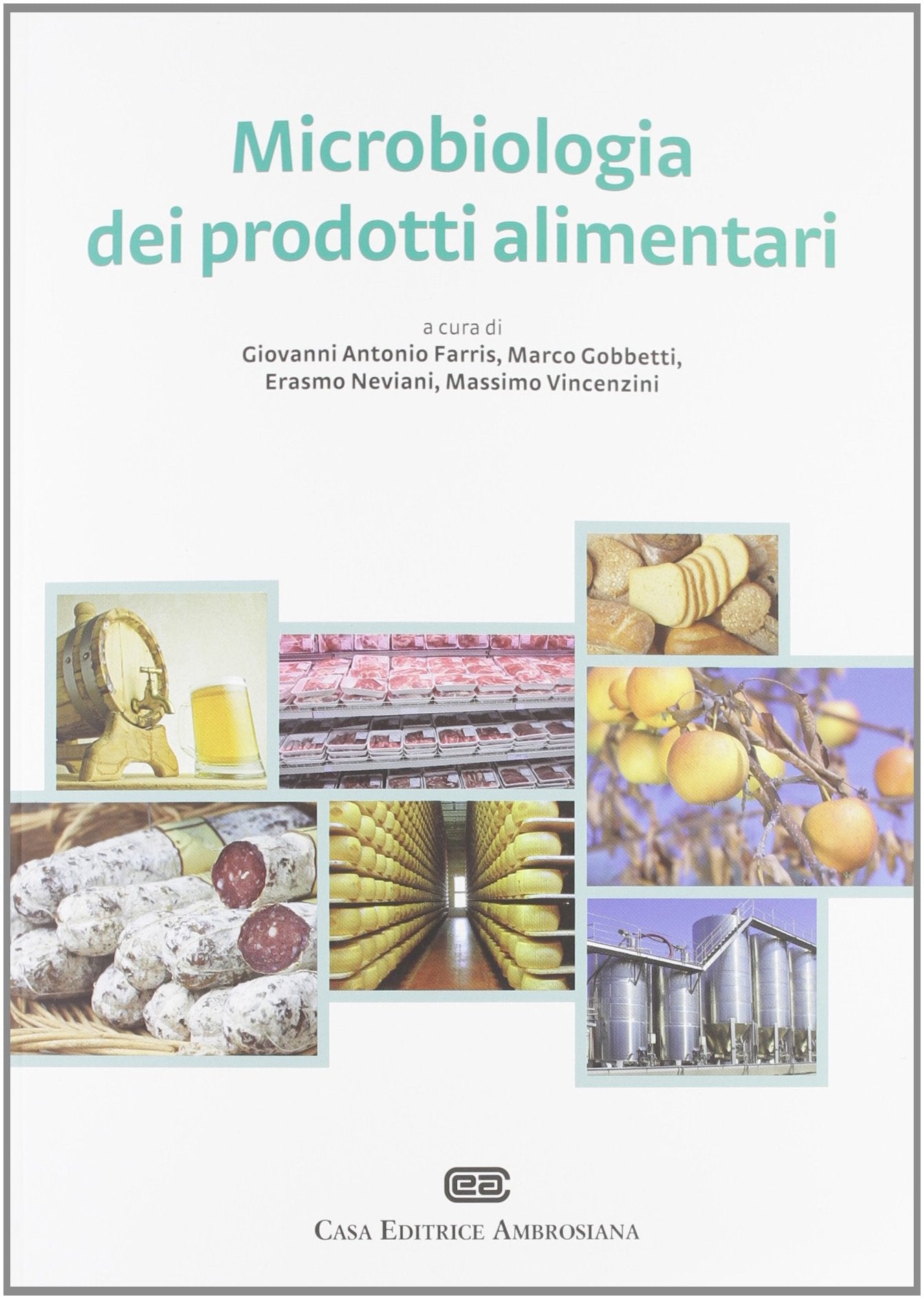Microbiologia dei prodotti alimentari. Microrganismi, controllo delle fermentazioni, indicatori di qualità, igiene degli alimenti fermentati e non book