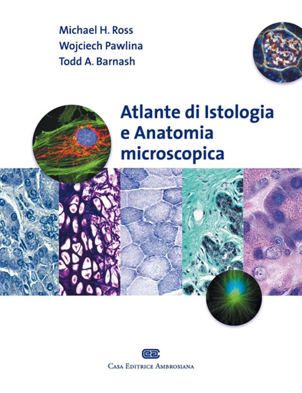 Atlante di istologia e anatomia microscopica Medicine