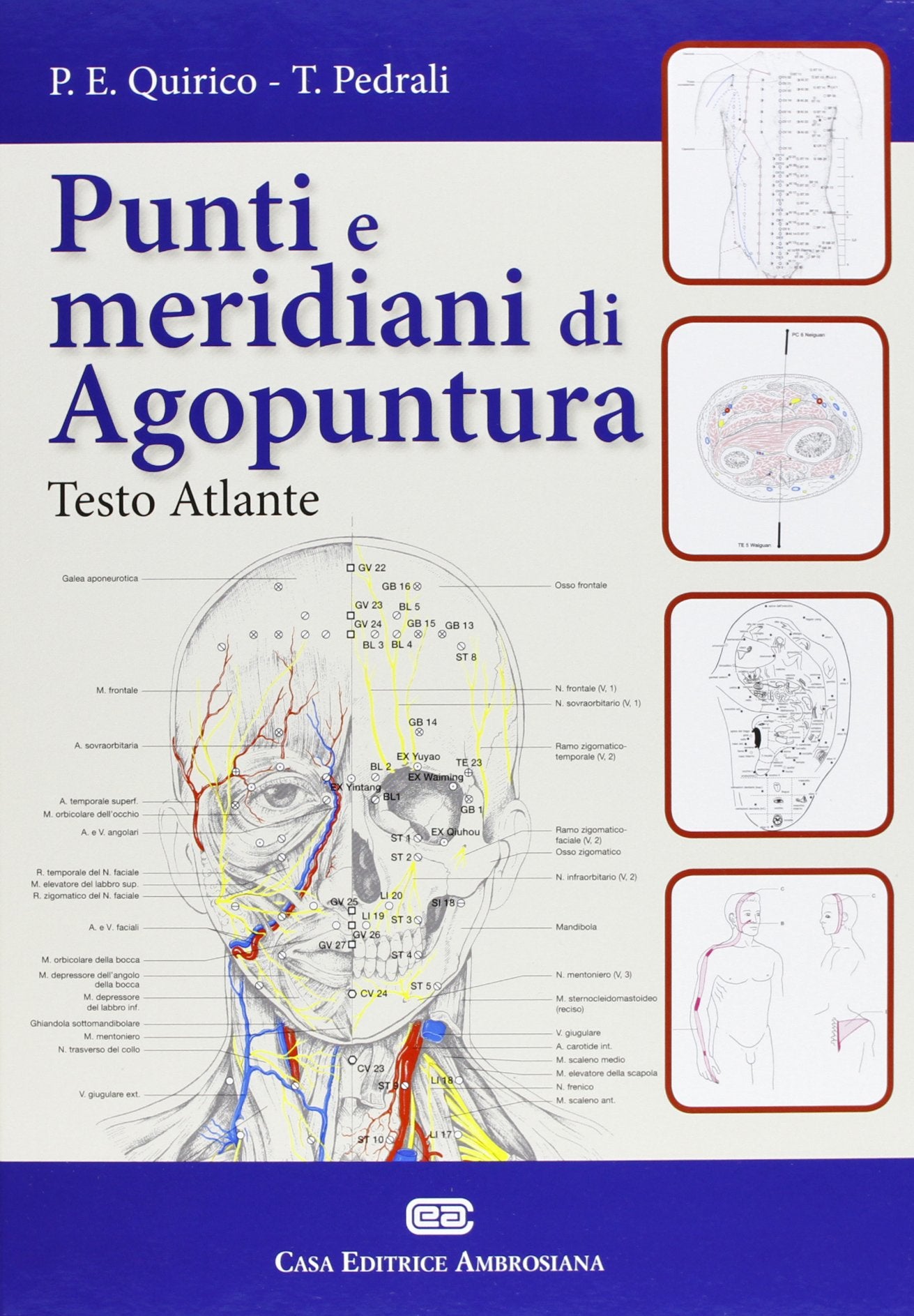 Punti e meridiani di agopuntura book