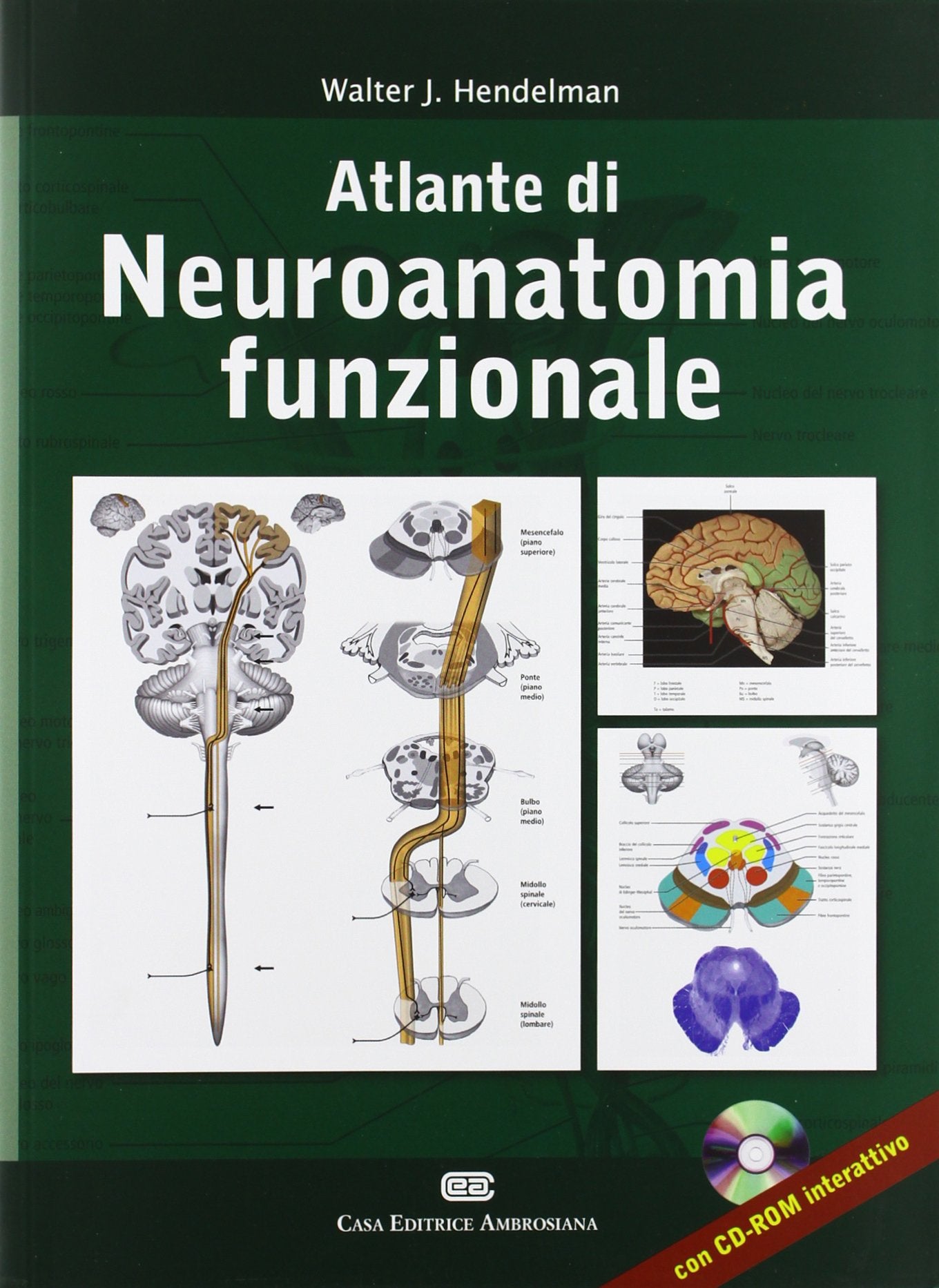 Altlante di neuroanatomia funzionale. Ediz. italiana e inglese. Con CD-ROM book