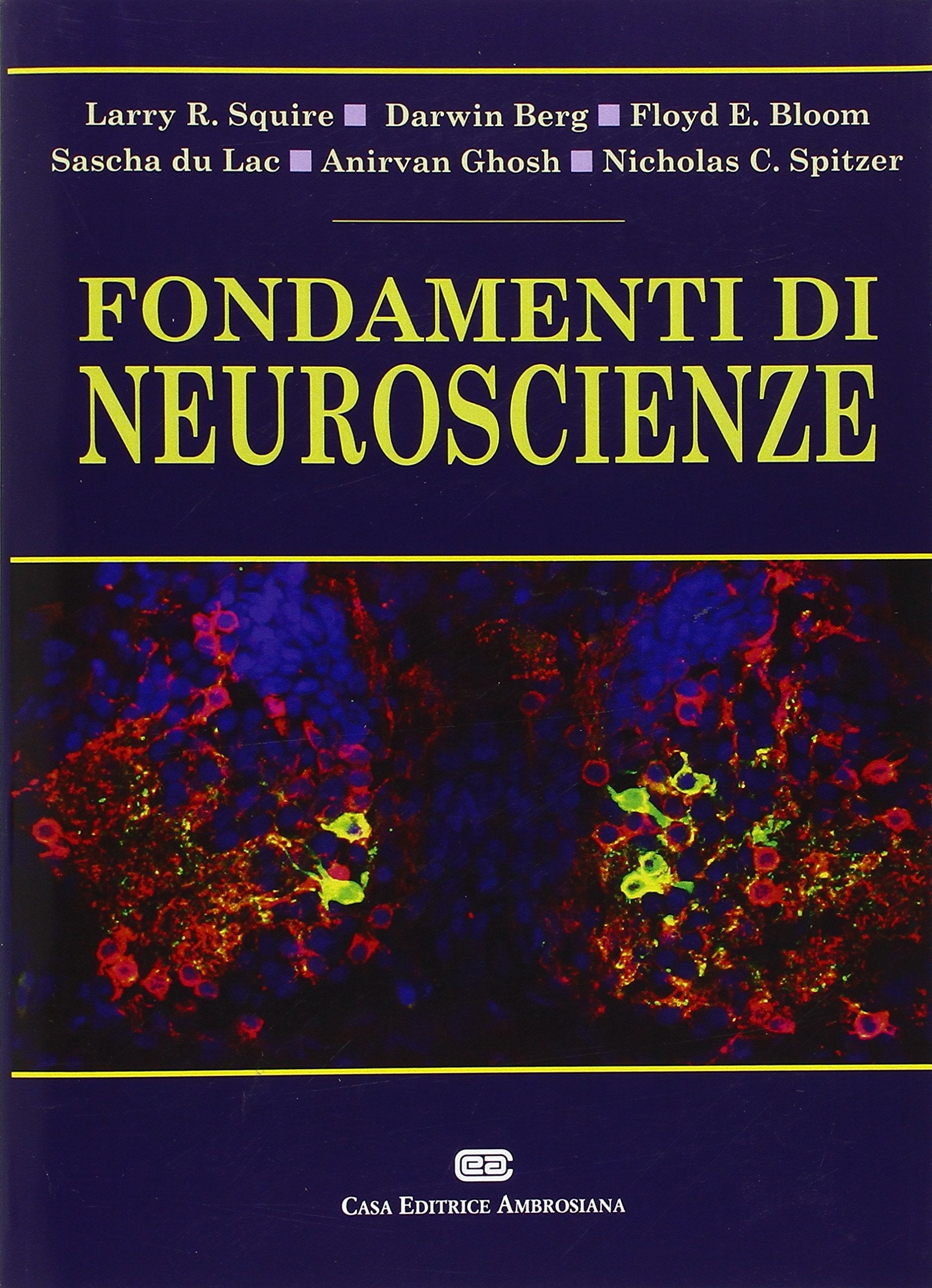 Fondamenti di neuroscienze. Con Contenuto digitale (fornito elettronicamente) book
