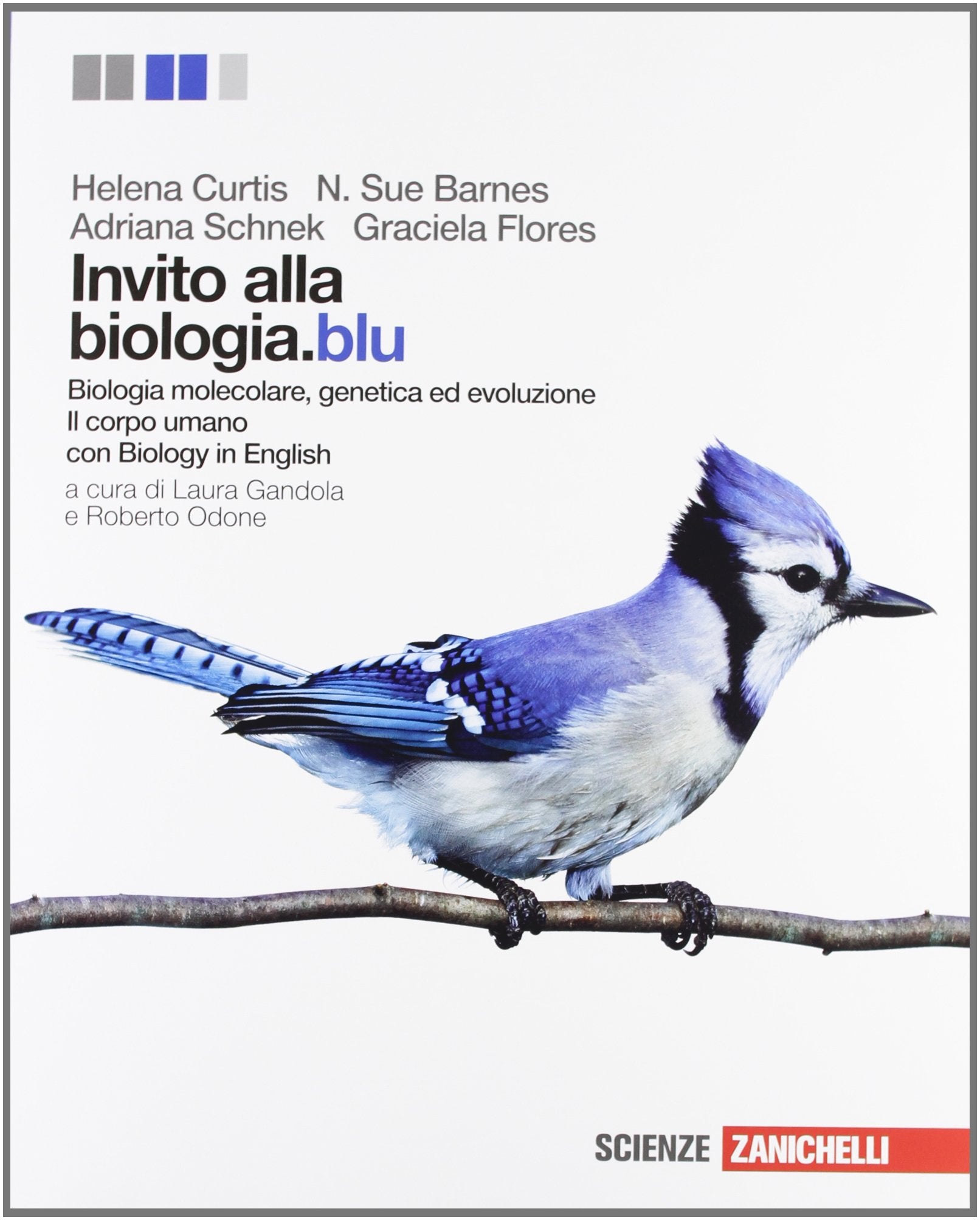 Invito alla biologia.blu. Biologia molecolare, genetica, evoluzione-Corpo umano. Per le Scuole superiori. Con espansione online Professional & Reference Books