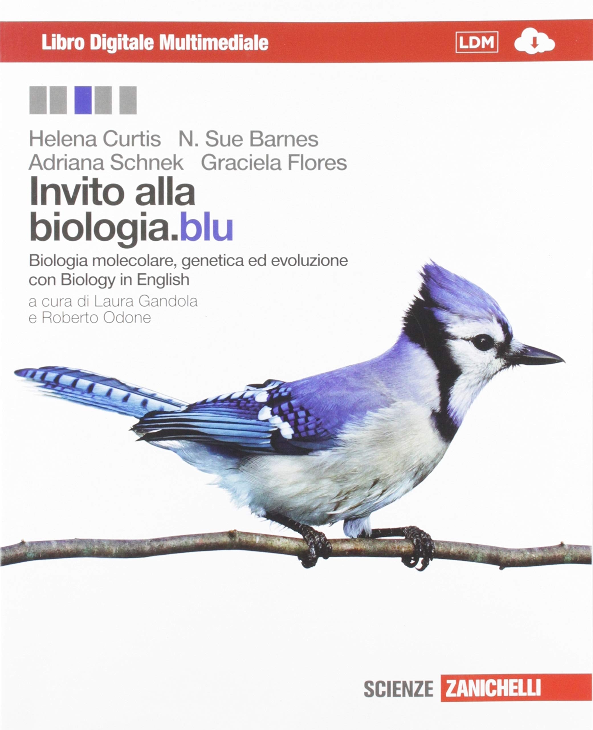 Invito alla biologia.blu. Biologia molecolare, genetica ed evoluzione con Biology in English book