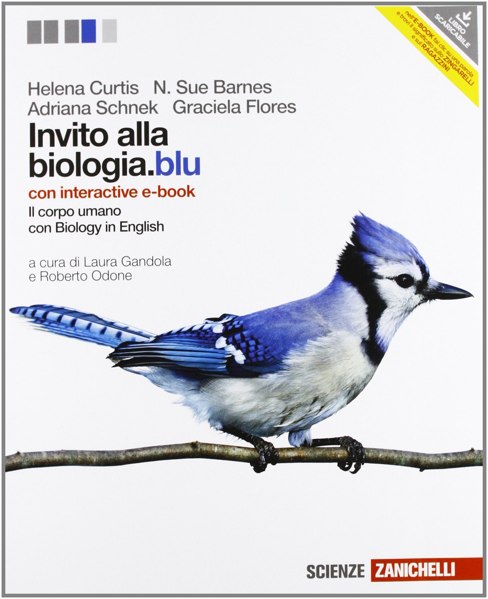 Invito alla biologia.blu. Corpo umano. Con interactive e-book. Per le Scuole superiori. Con espansione online book