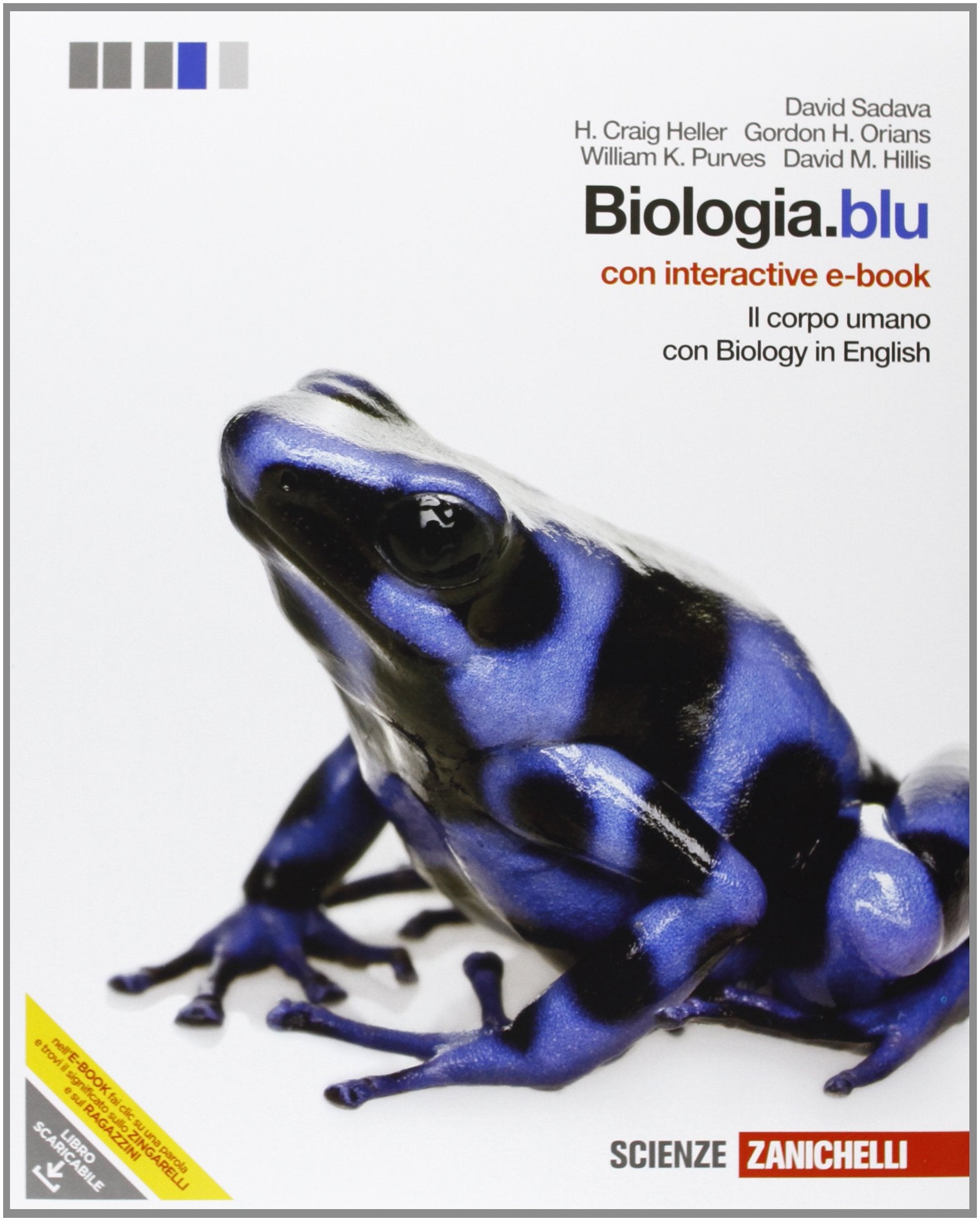 Biologia.blu. Corpo umano. Con interactive e-book. Per le Scuole superiori. Con espansione online book