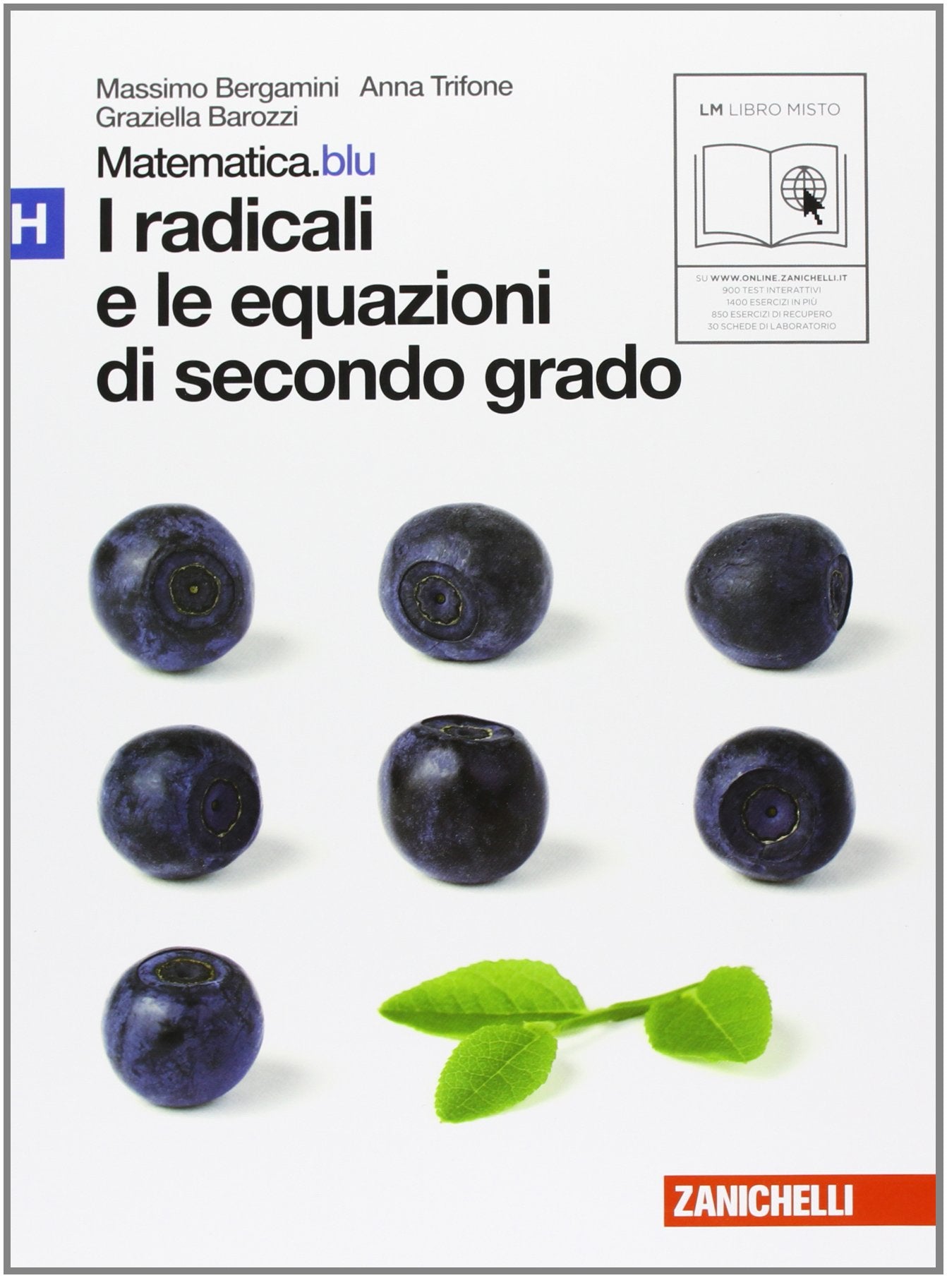Matematica.blu. Modulo H. Blu-I.Blu-P.Blu-Statistica e probabilità. Blu. Per le Scuole superiori book