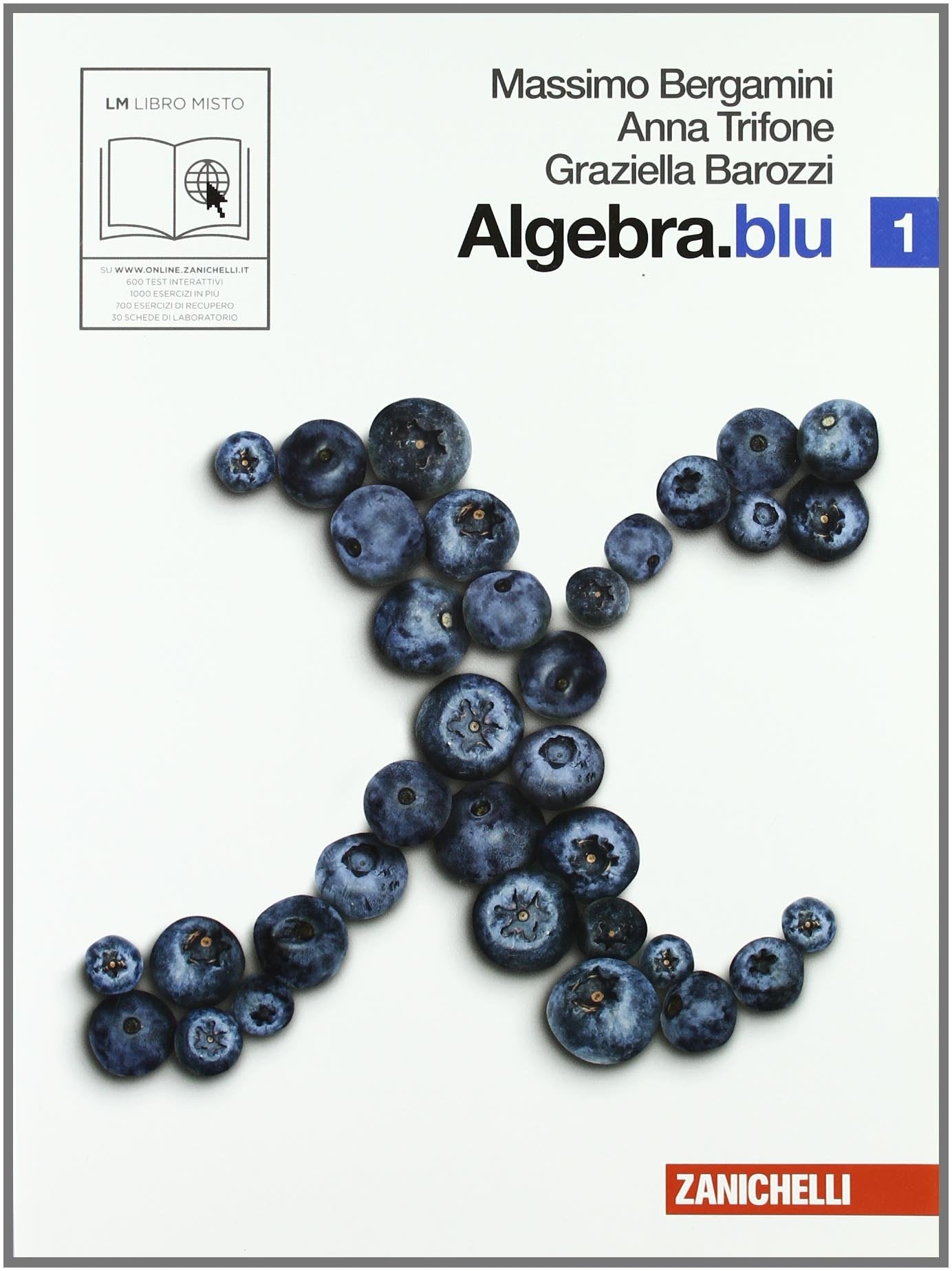 Algebra. Blu. Per le Scuole superiori. Con espansione online (Vol. 1) book