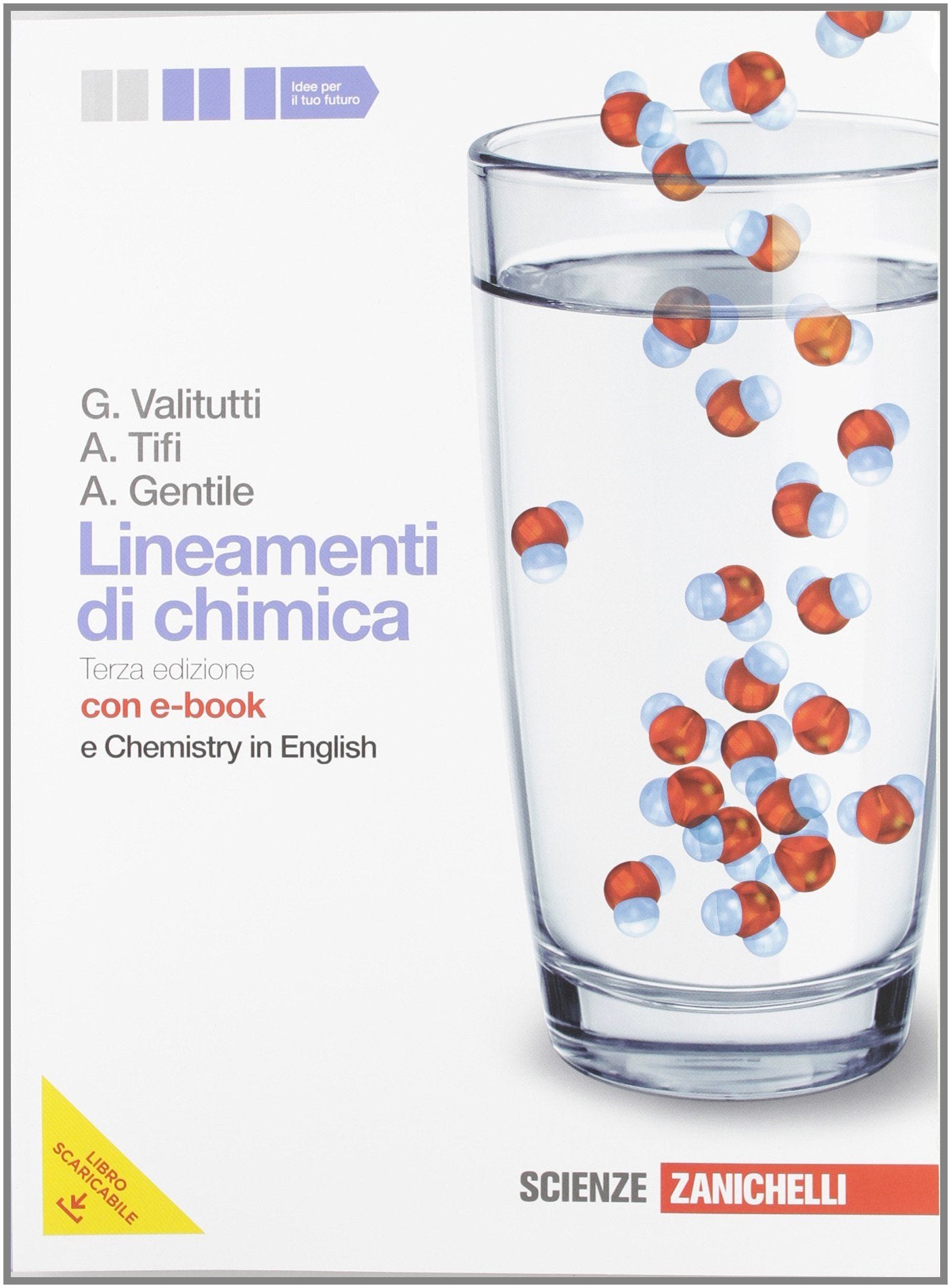 Lineamenti di chimica. Con Chemistry in english. Per le Scuole superiori. Con DVD-ROM. Con espansione online book