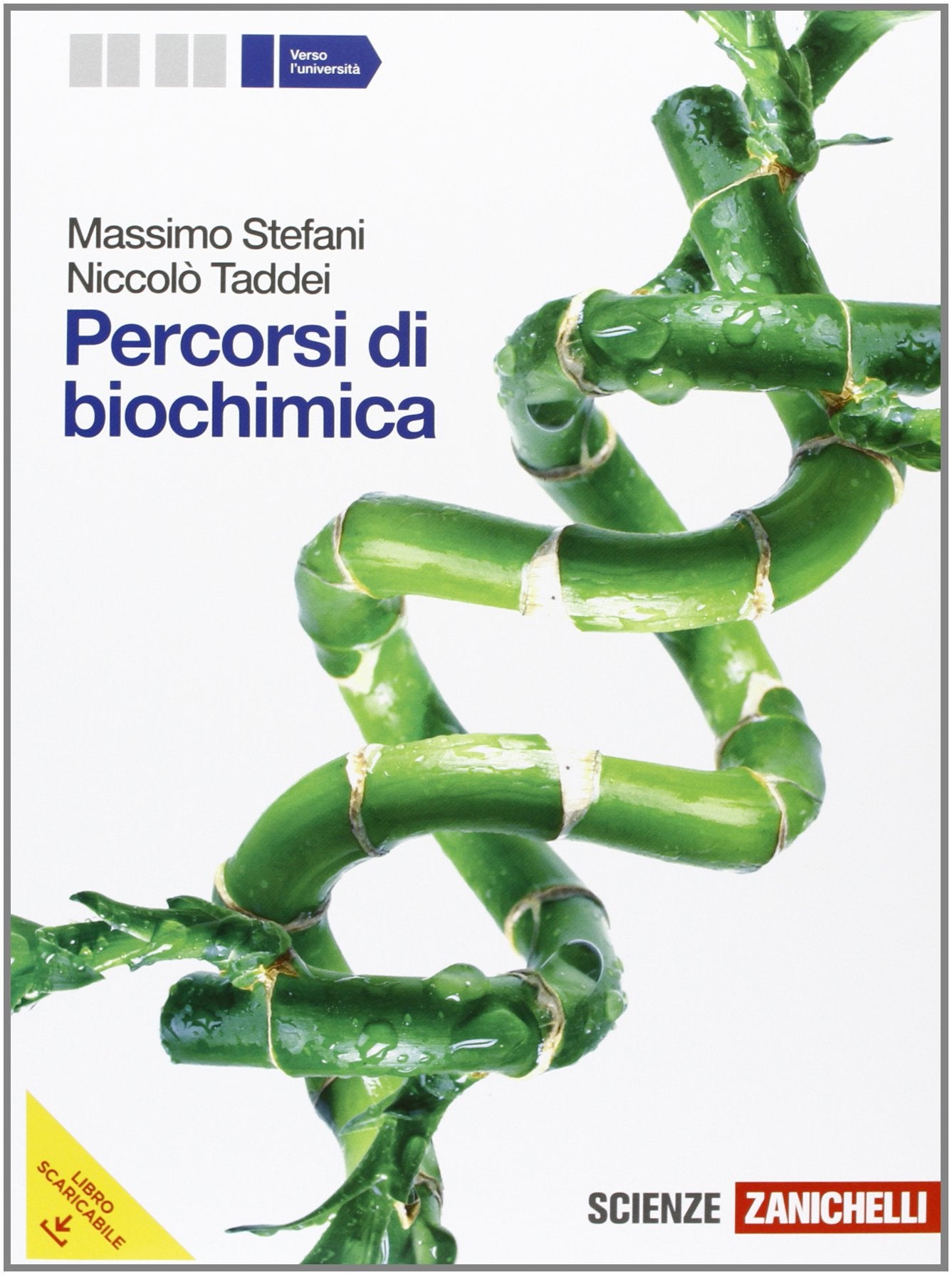 Percorsi di biochimica. Volume unico. Per le Scuole superiori. Con espansione online Professional & Reference Books
