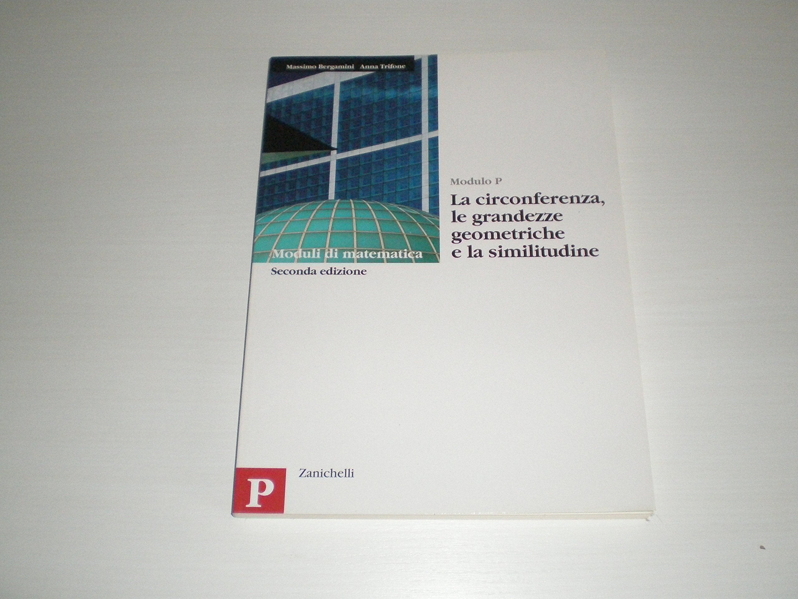 Moduli di matematica. Modulo P: La circonferenza, le grandezze geometriche e la similitudine. Per le Scuole superiori Non-fiction