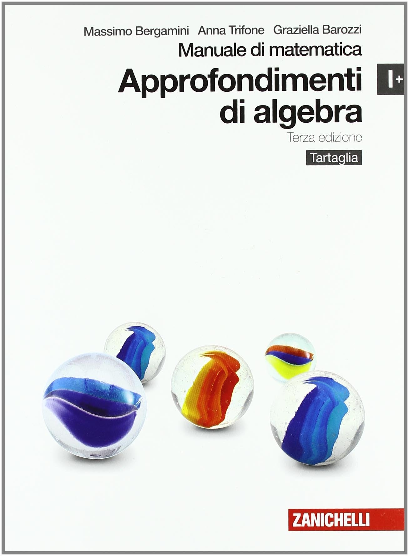 Manuale di matematica. Modulo I plus: Approfondimenti di algebra. Per le Scuole superiori. Con espansione online book