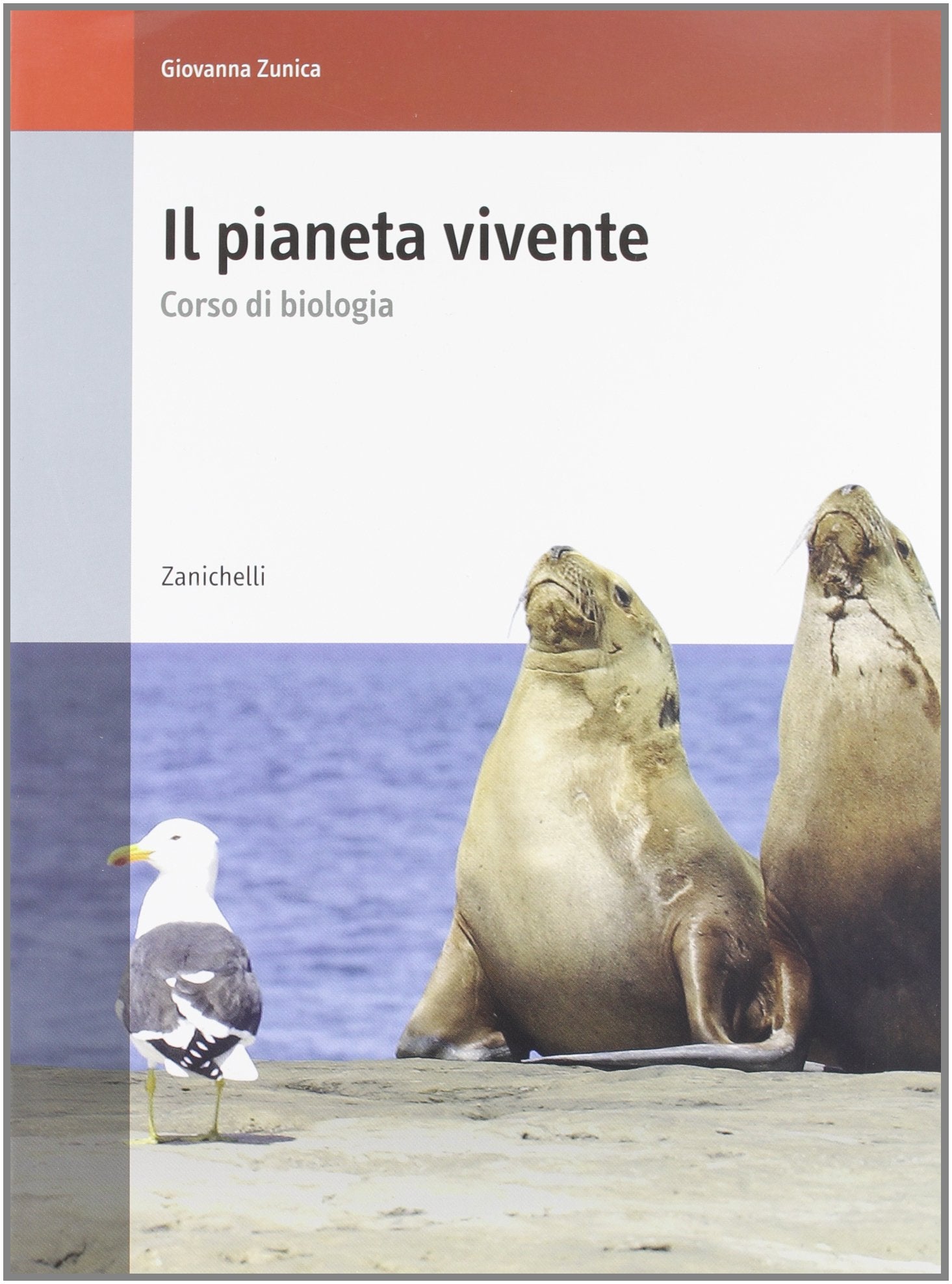 Il pianeta vivente. Corso di biologia. Volume unico. Per le Scuole superiori Study Guides