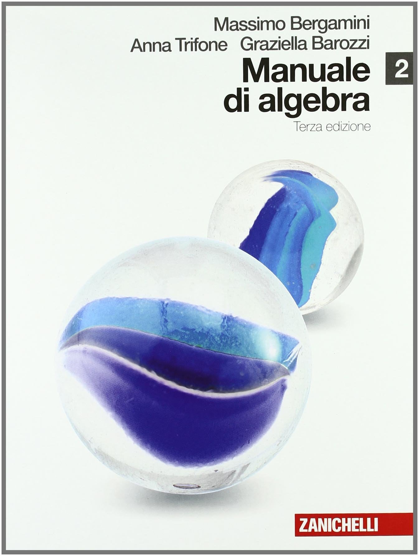 Manuale di matematica. Per le Scuole superiori. Con espansione online. Algebra-Modulo P plus (Vol. 2) Professional & Reference Books