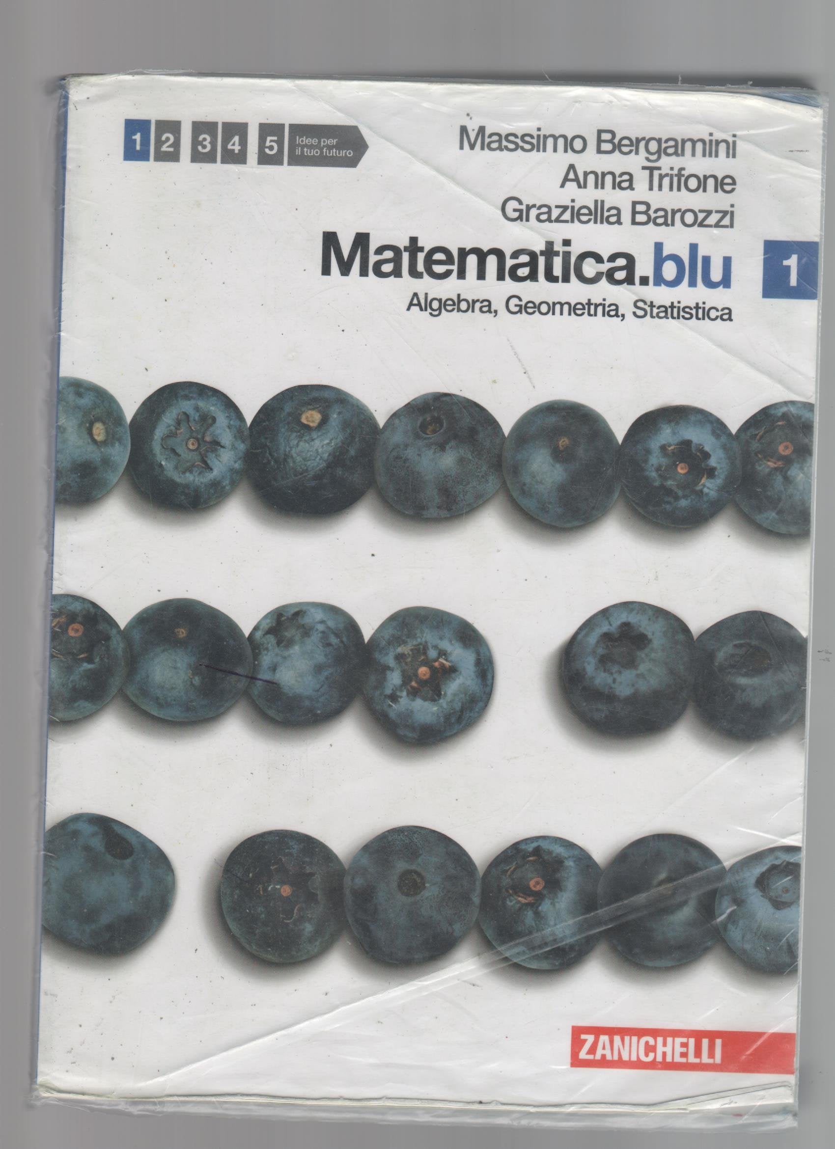 Matematica.blu. Algebra. Geometria. Statistica. Per le Scuole superiori. Con espansione online (Vol. 1) book