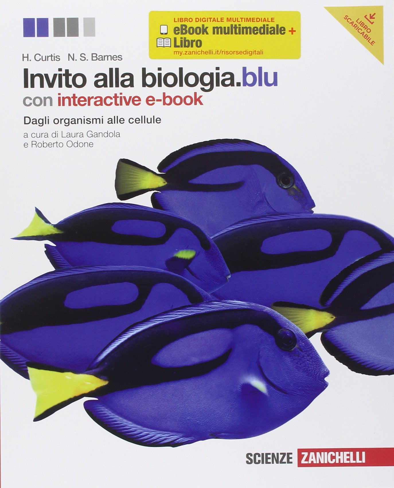 Invito alla biologia. Blu. Dagli organismi alle cellule. Per le Scuole superiori. Con espansione online Professional & Reference Books