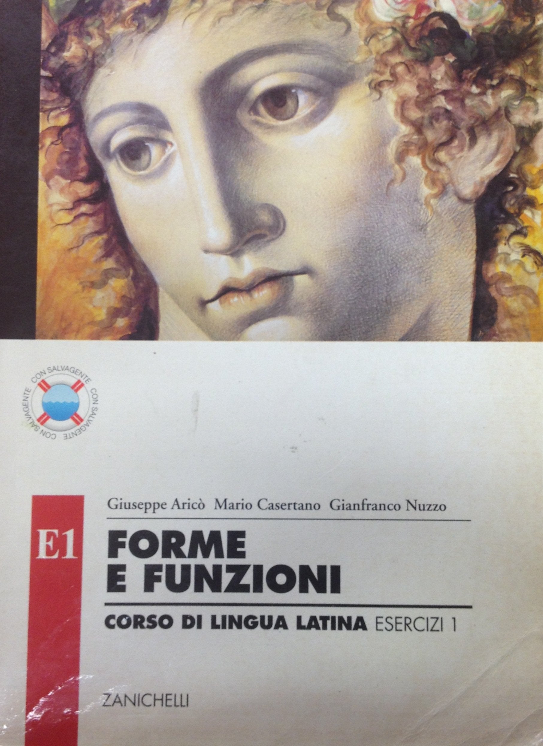 Forme e funzioni. Corso di lingua latina. Esercizi. Per i Licei e gli Ist. Magistrali. Con espansione online (Vol. 1) book