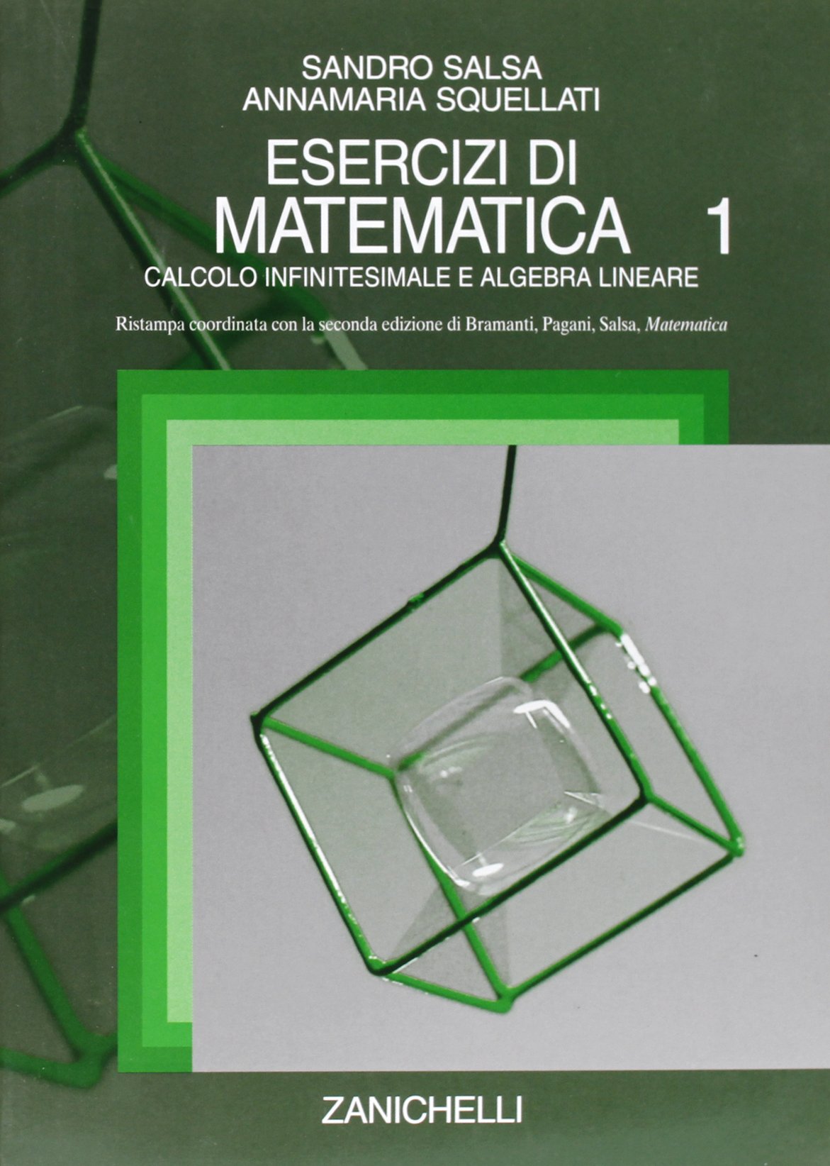 Esercizi di matematica. Calcolo infinitesimale e algebra lineare (Vol. 1) book