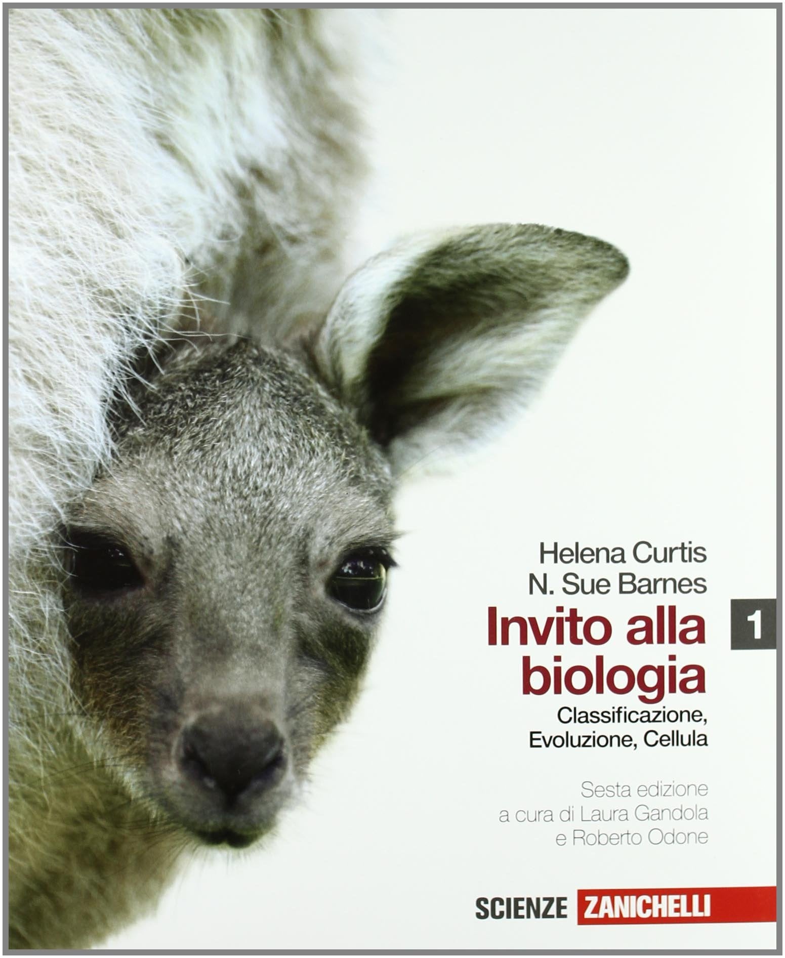 Invito alla biologia. Per le Scuole superiori. Con CD-ROM. Con espansione online. Classificazione, evoluzione, la cellula (Vol. 1) book