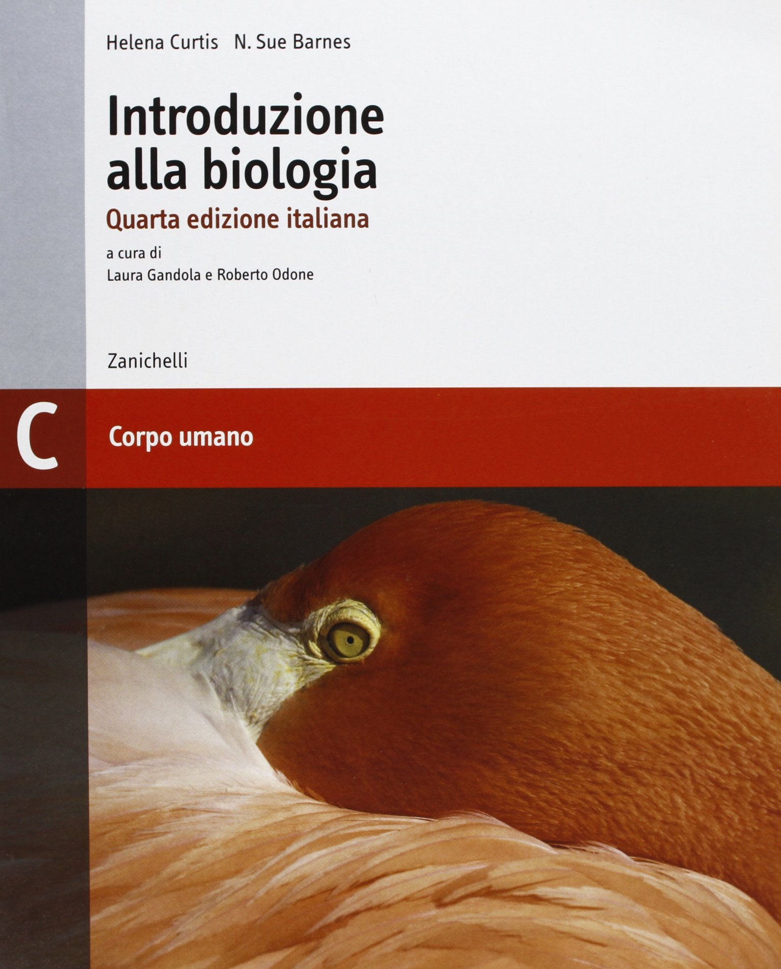 Introduzione alla biologia. Modulo C: Corpo umano. Per le Scuole superiori book