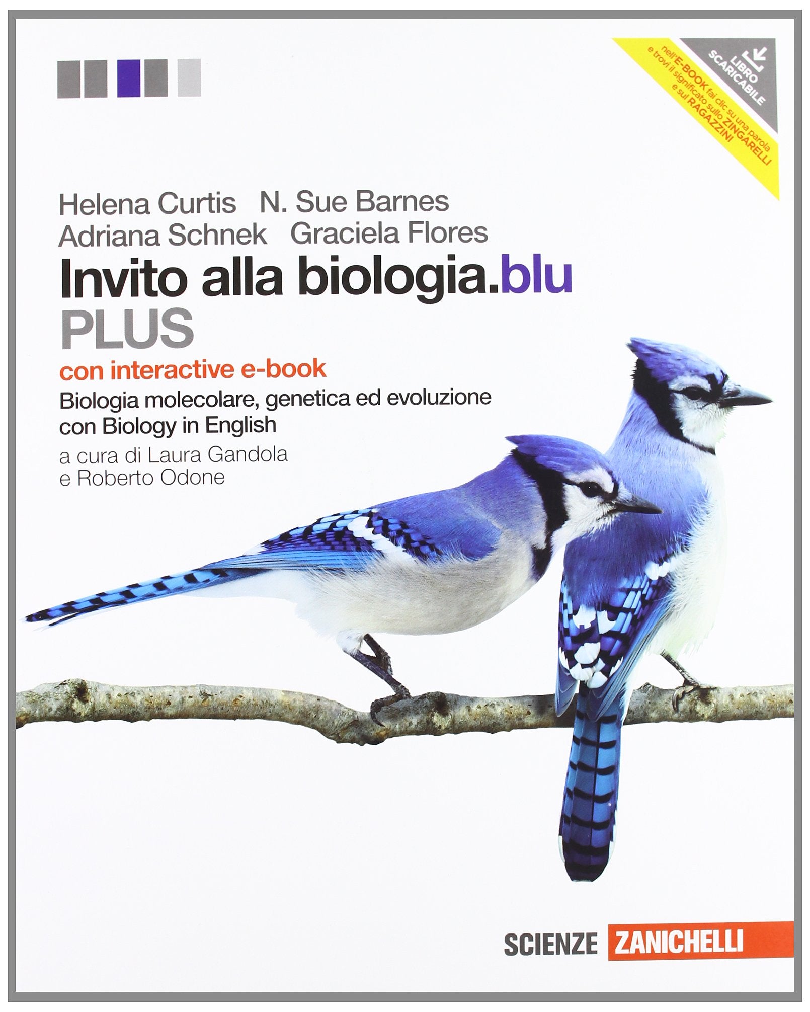 Invito alla biologia.blu. Plus. Biologia molecolare, genetica, evoluzione. Con interactive e-book. Per le Scuole superiori. Con espansione online Professional & Reference Books