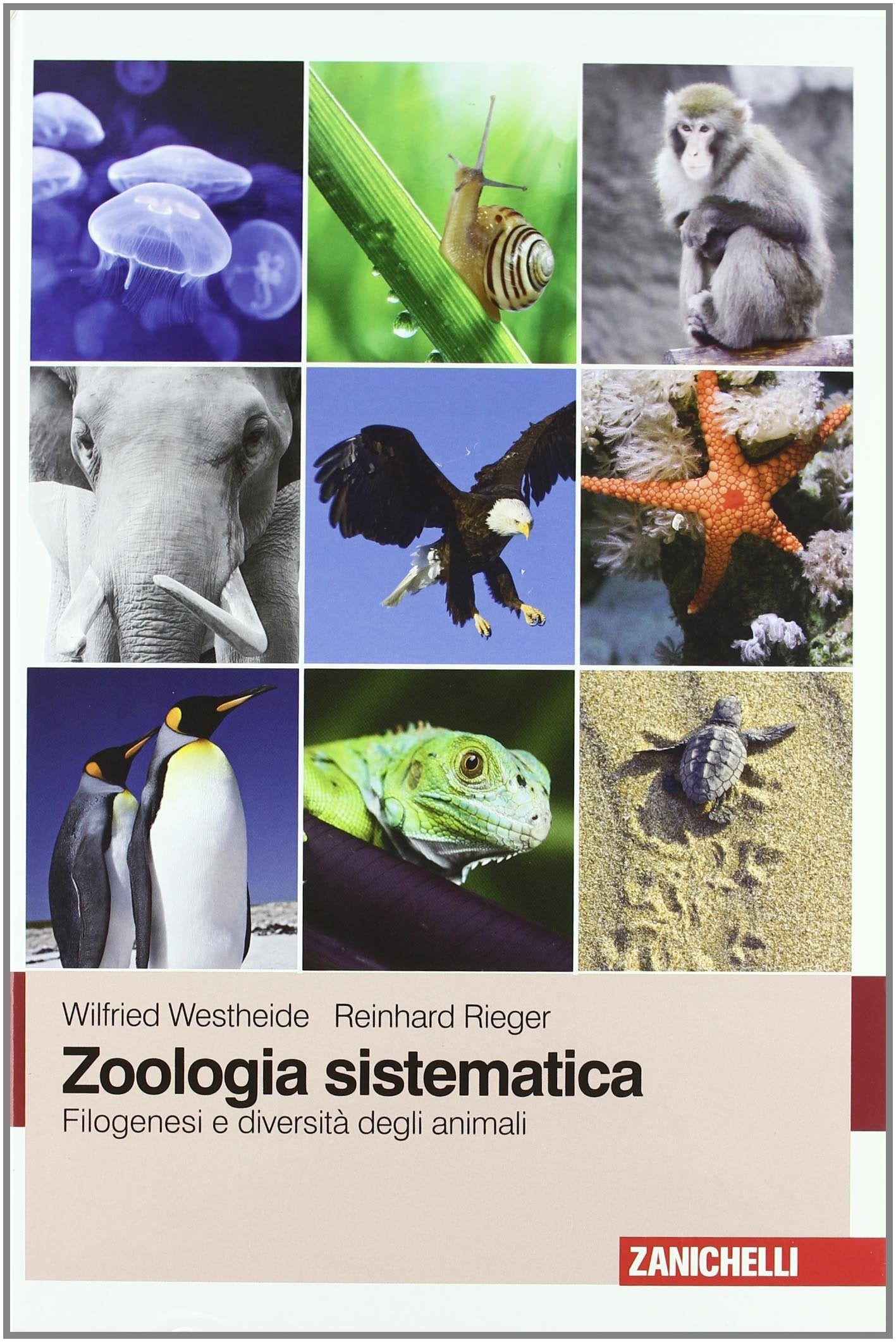 Zoologia sistematica. Filogenesi e diversità degli animali book