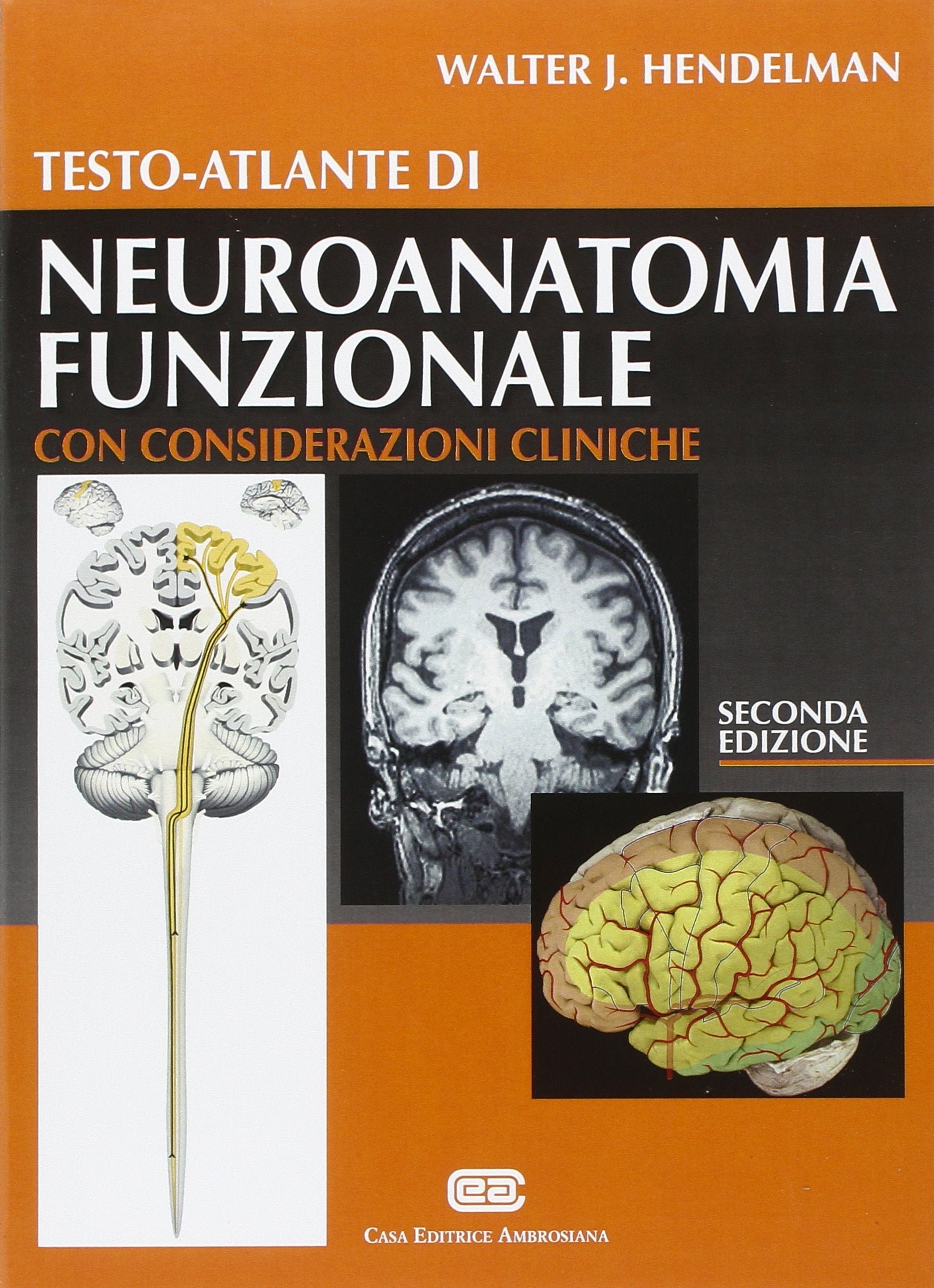 Testo-atlante di neuroanatomia funzionale. Con considerazioni cliniche book