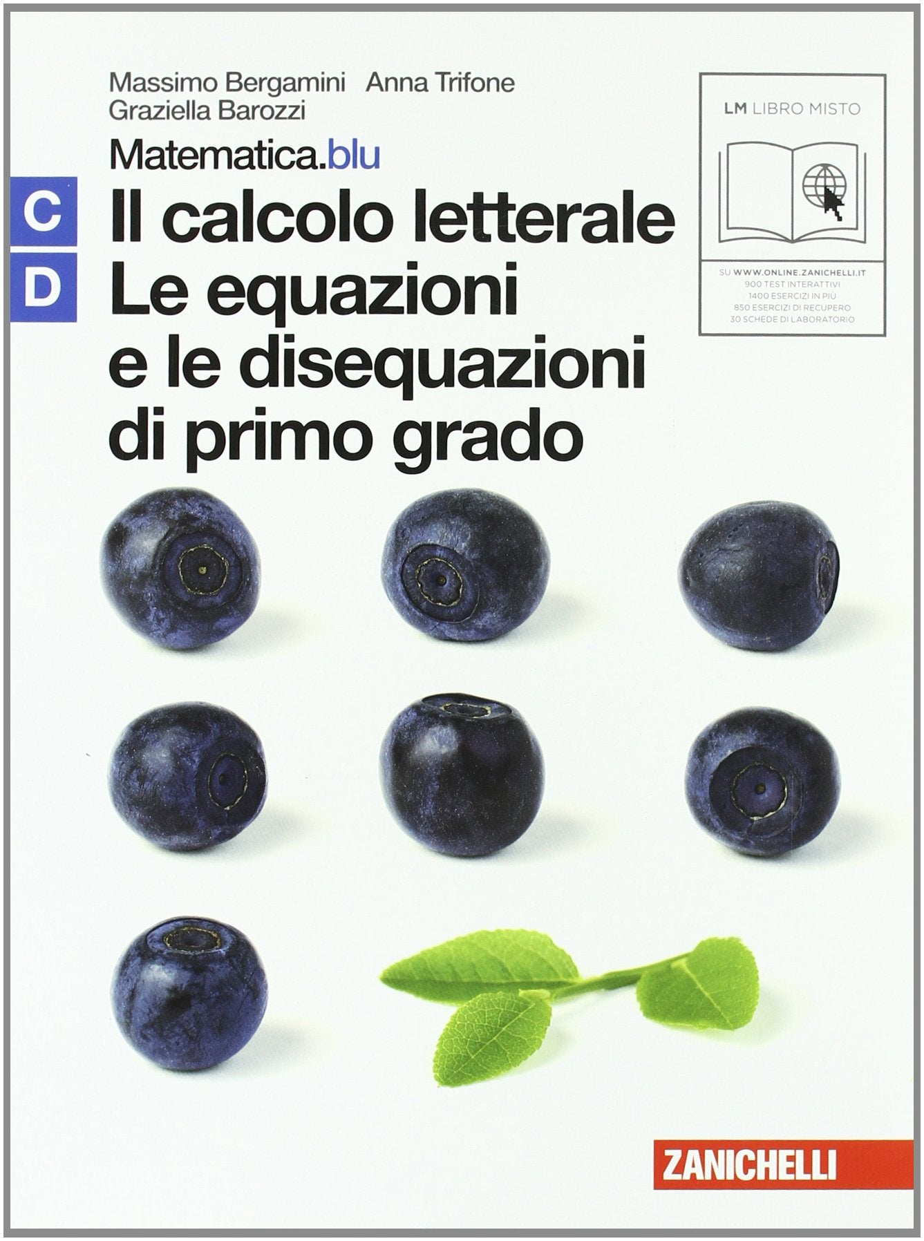 Matematica.blu 2.0. Vol. C-D.Blu: Il calcolo letterale-Le equazioni e le disequazioni di primo grado. Per le Scuole superiori. Con espansione online Professional & Reference Books