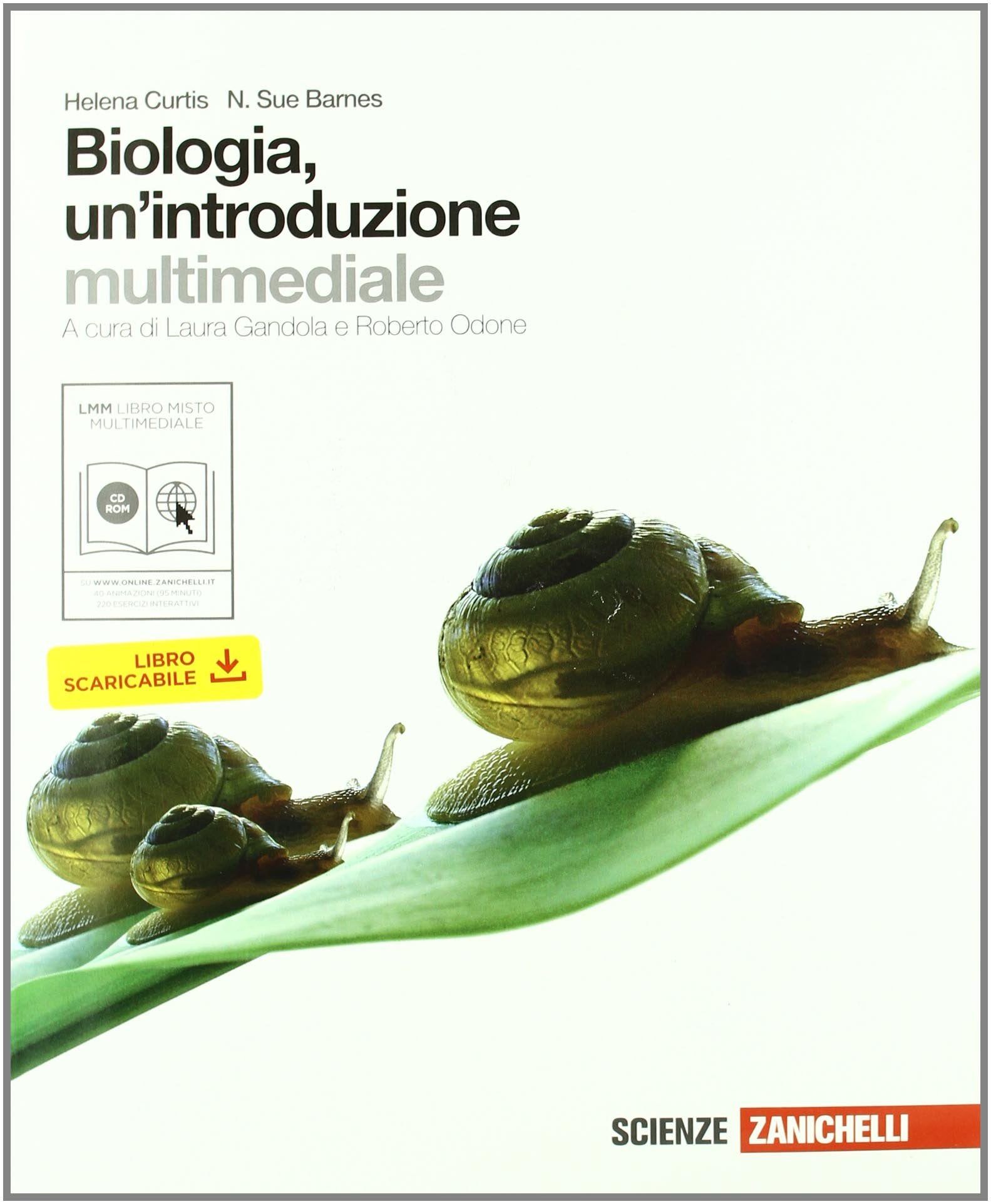 Biologia. Un'introduzione. Volume unico. Per le Scuole superiori. Con espansione online Professional & Reference Books