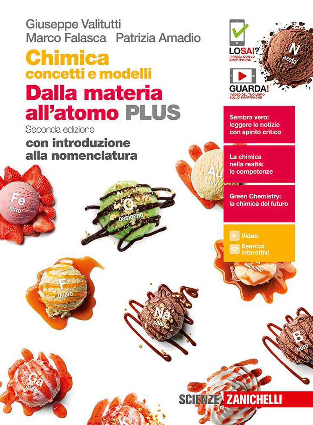 Chimica: concetti e modelli. Dalla materia all'atomo plus. Con introduzione alla nomenclatura. Per le Scuole superiori. Con e-book. Con espansione online Professional & Reference Books
