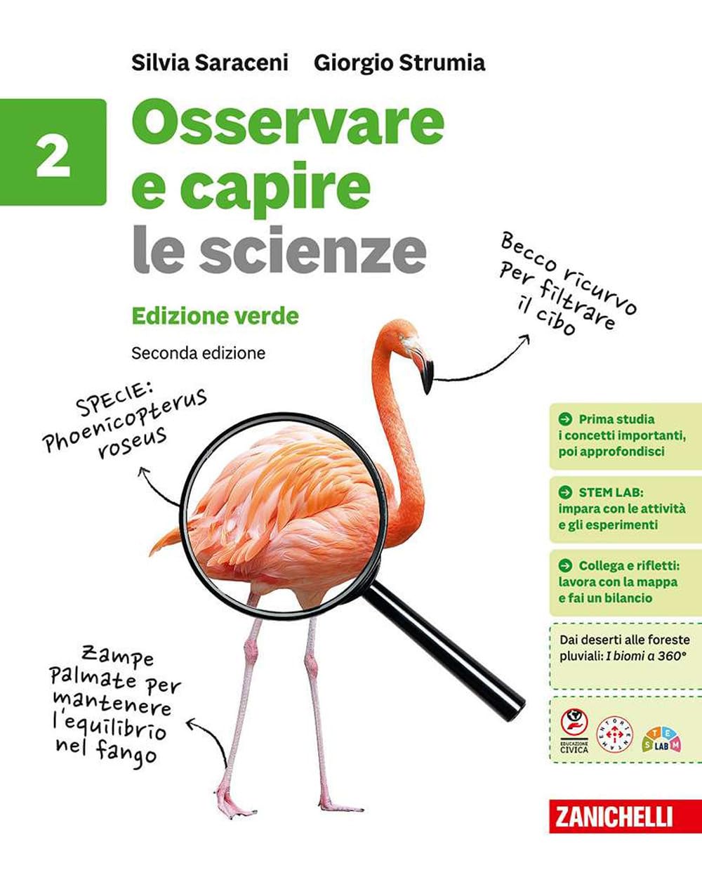 Osservare e capire. Le scienze. Ediz. verde. Per la Scuola media (Vol. 2) book