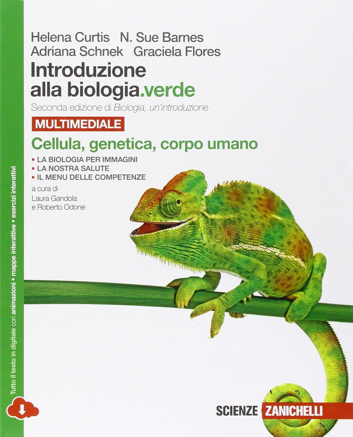 Introduzione alla biologia.verde. Cellula, genetica, corpo umano. Per le Scuole superiori. Con e-book. Con espansione online Professional & Reference Books