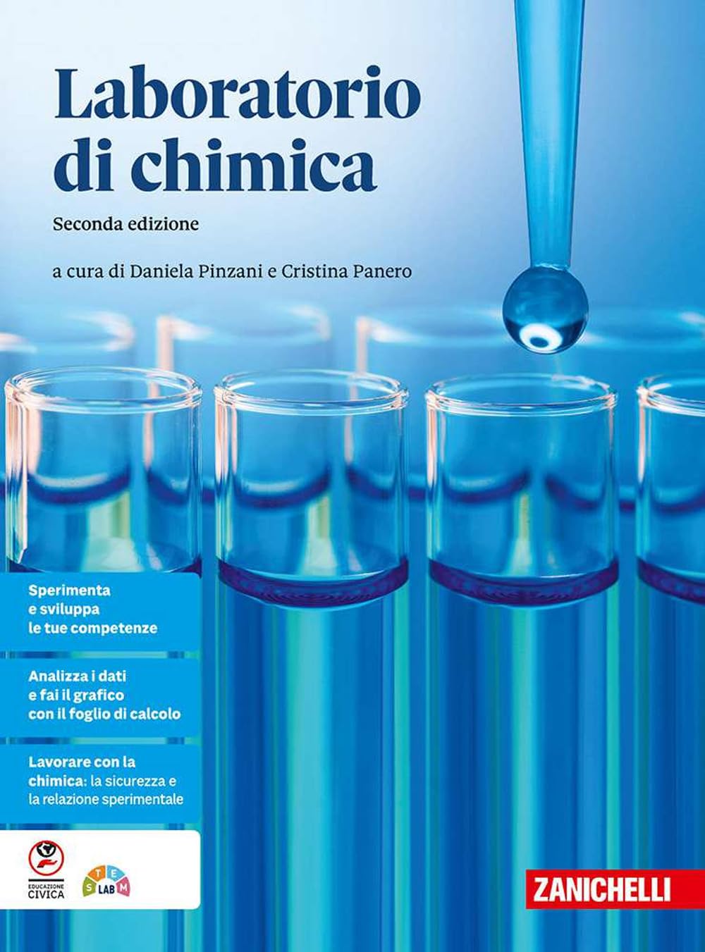 Il laboratorio di chimica. Per le Scuole superiori book