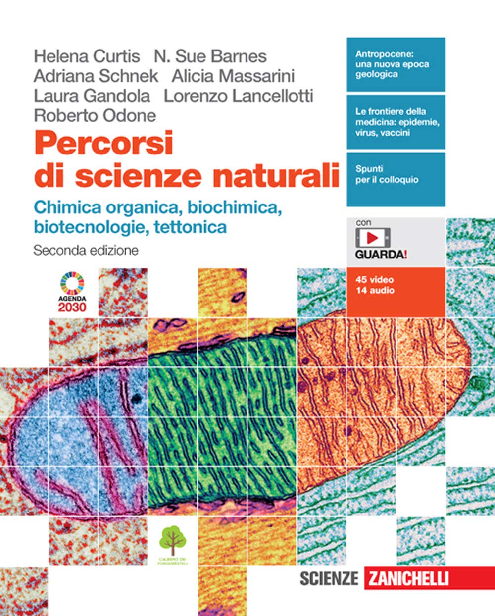 Percorsi di scienze naturali. Chimica organica, biochimica, biotecnologie, tettonica. Per le Scuole superiori. Con e-book. Con espansione online Professional & Reference Books