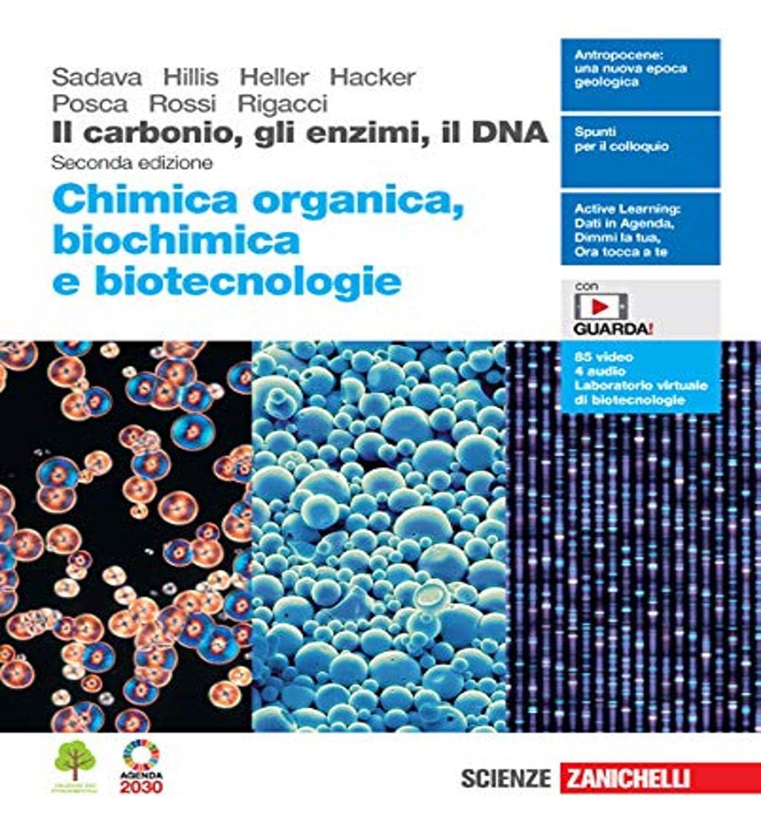 Il carbonio, gli enzimi, il DNA. Chimica organica, biochimica e biotecnologie. Per le Scuole superiori. Con Contenuto digitale (fornito elettronicamente) Professional & Reference Books