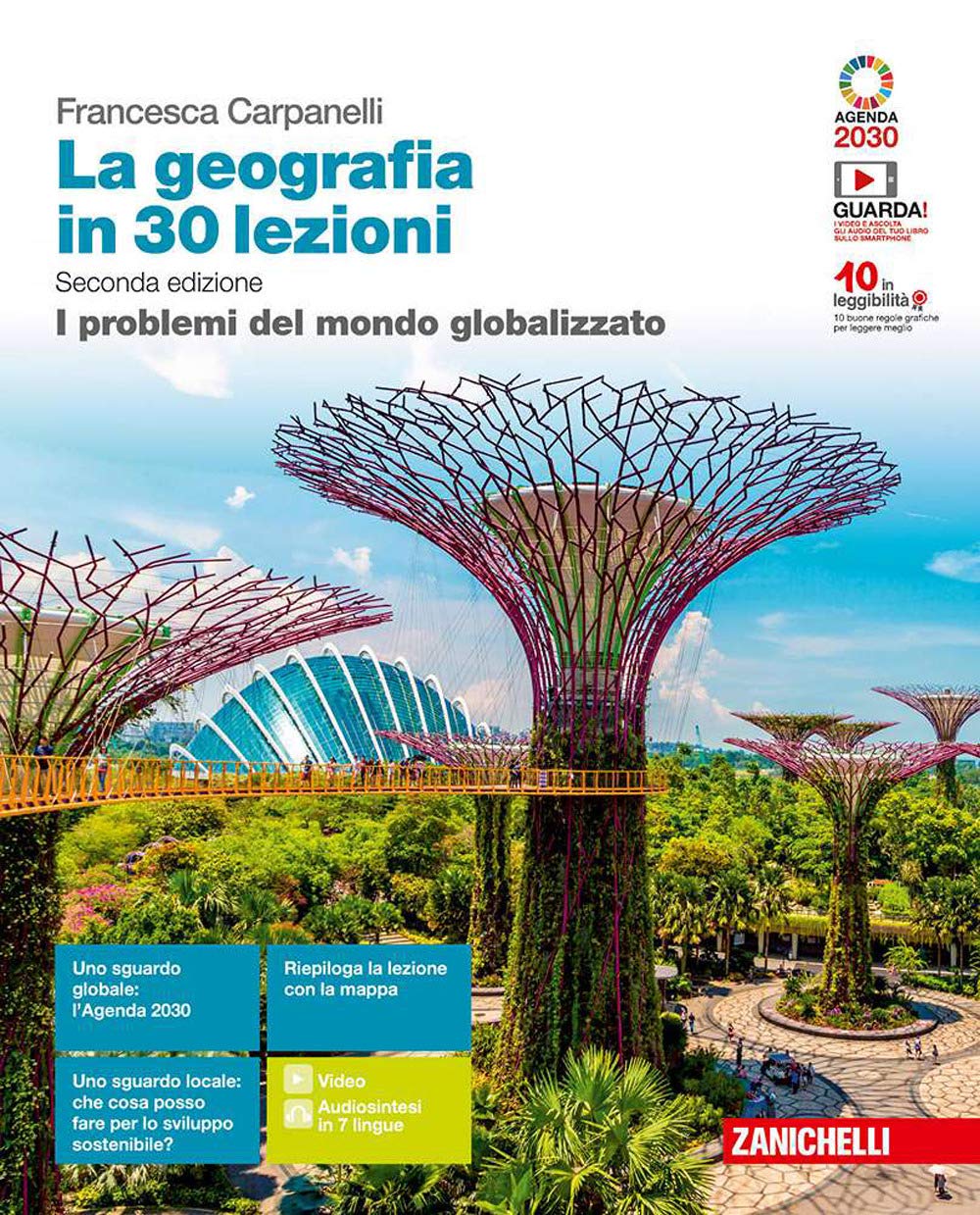La geografia in 30 lezioni. I problemi del mondo globalizzato. Per le Scuole superiori. Con e-book. Con espansione online Natural Sciences