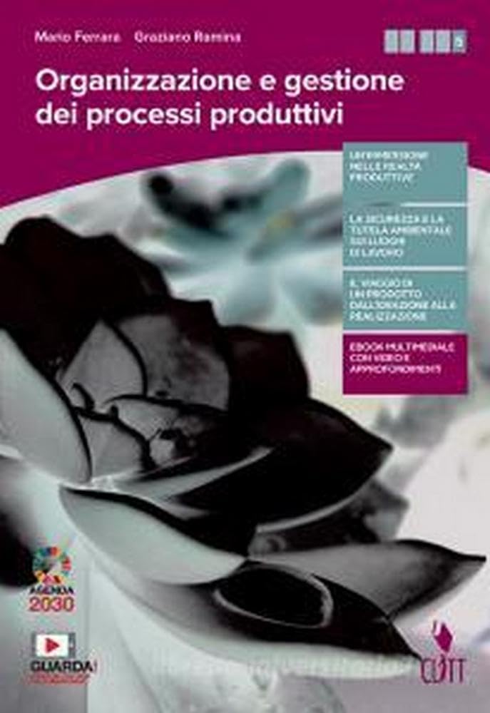 Organizzazione e gestione dei processi produttivi. Per le Scuole superiori. Con e-book. Con espansione online book