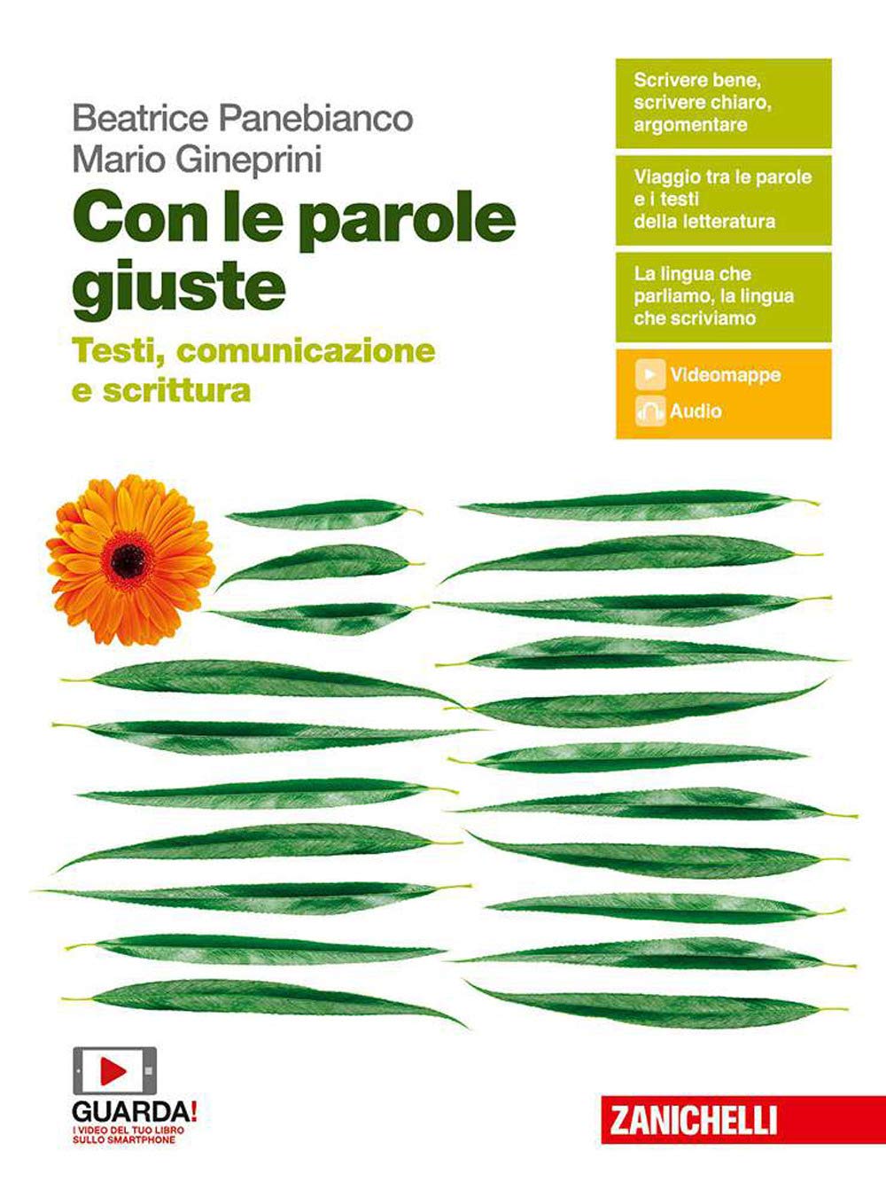 Con le parole giuste. Testi, comunicazione e scrittura. Per le Scuole superiori. Con e-book. Con espansione online Professional & Reference Books