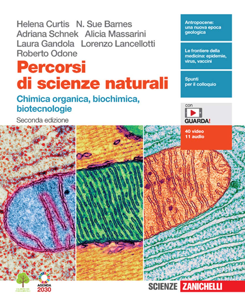 Percorsi di scienze naturali. Chimica organica, biochimica, biotecnologie. Per le Scuole superiori. Con e-book. Con espansione online Professional & Reference Books